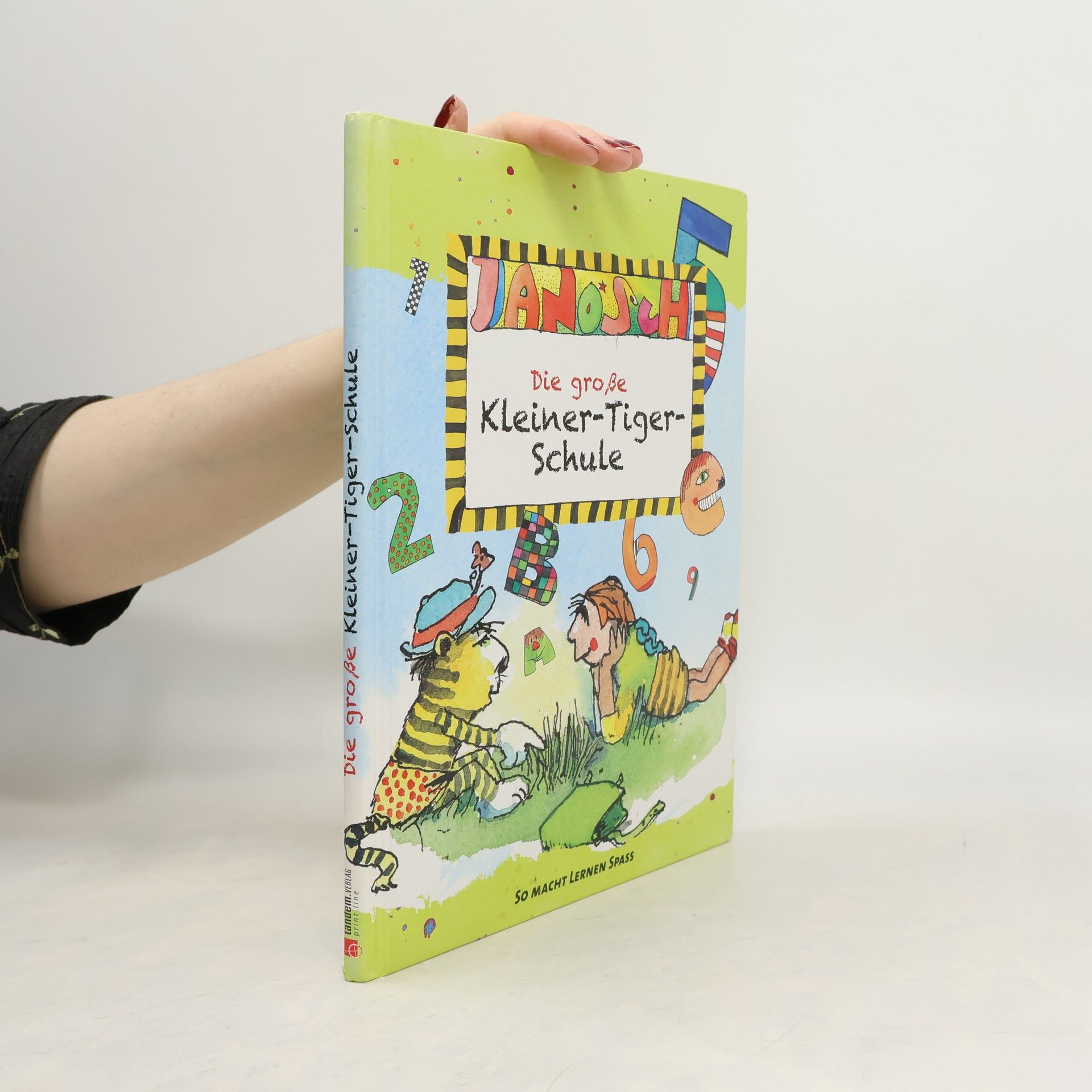 Various authors Die große Kleiner-Tiger-Schule