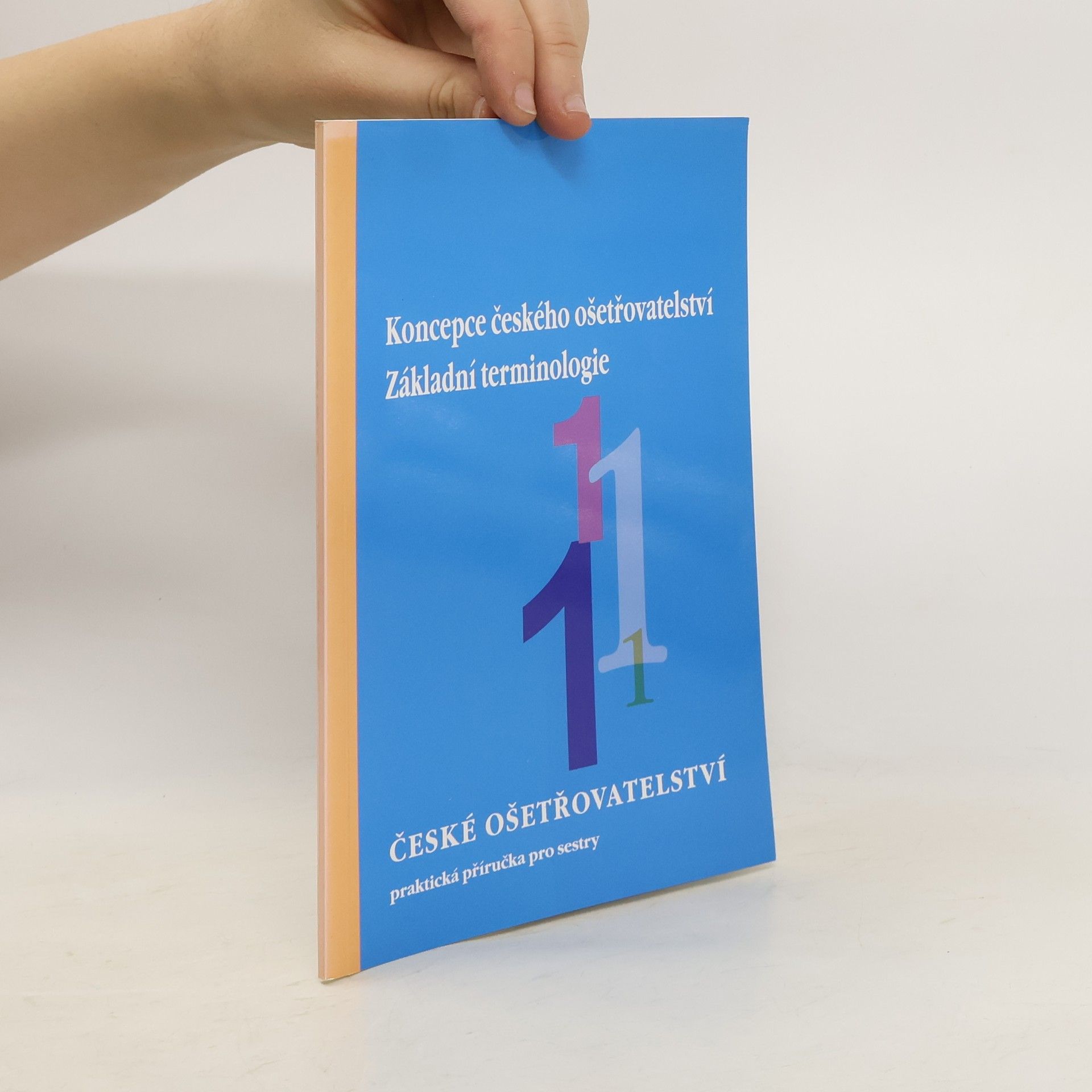 Koncepce českého ošetřovatelství : základní terminologie
