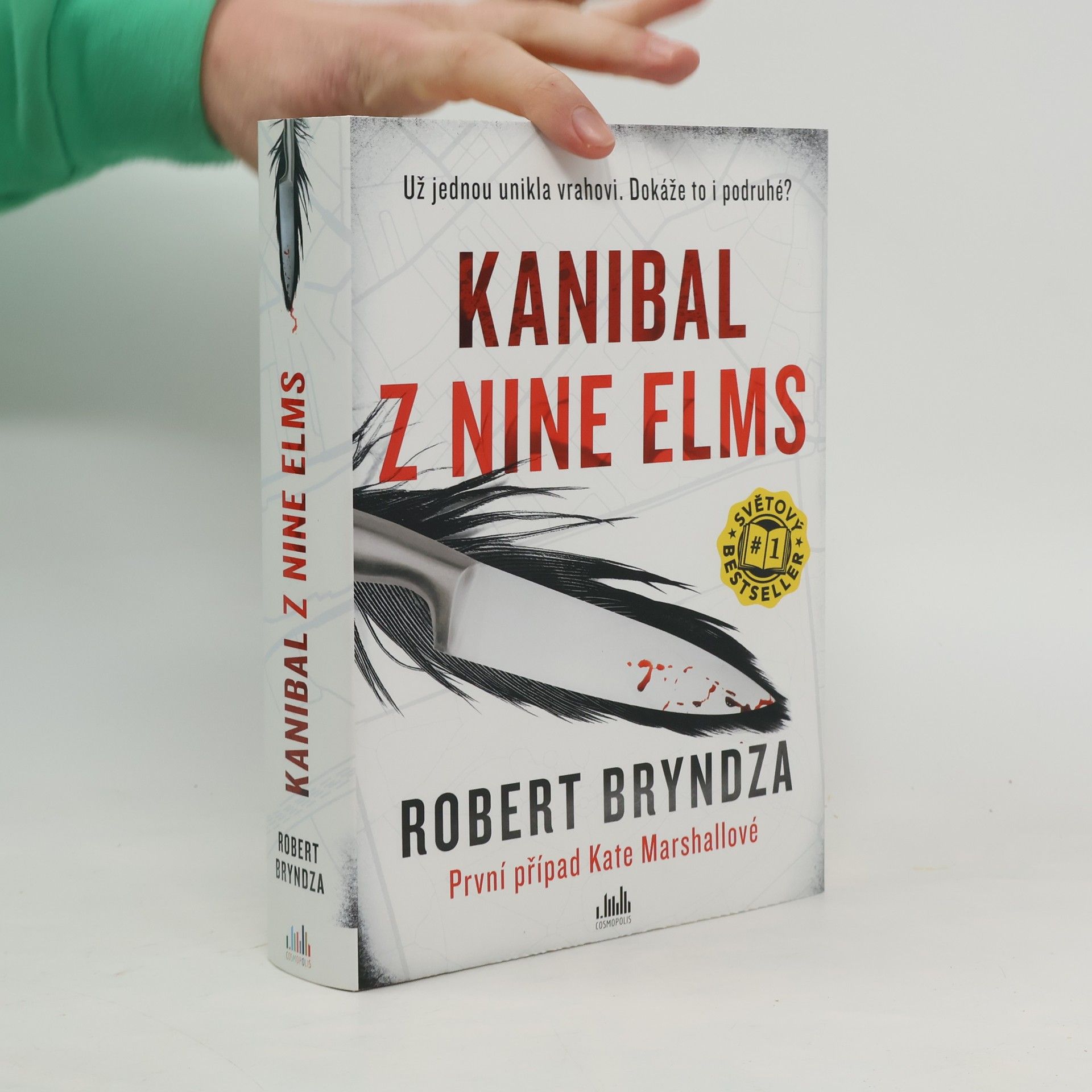 Robert Bryndza Kanibal z Nine Elms