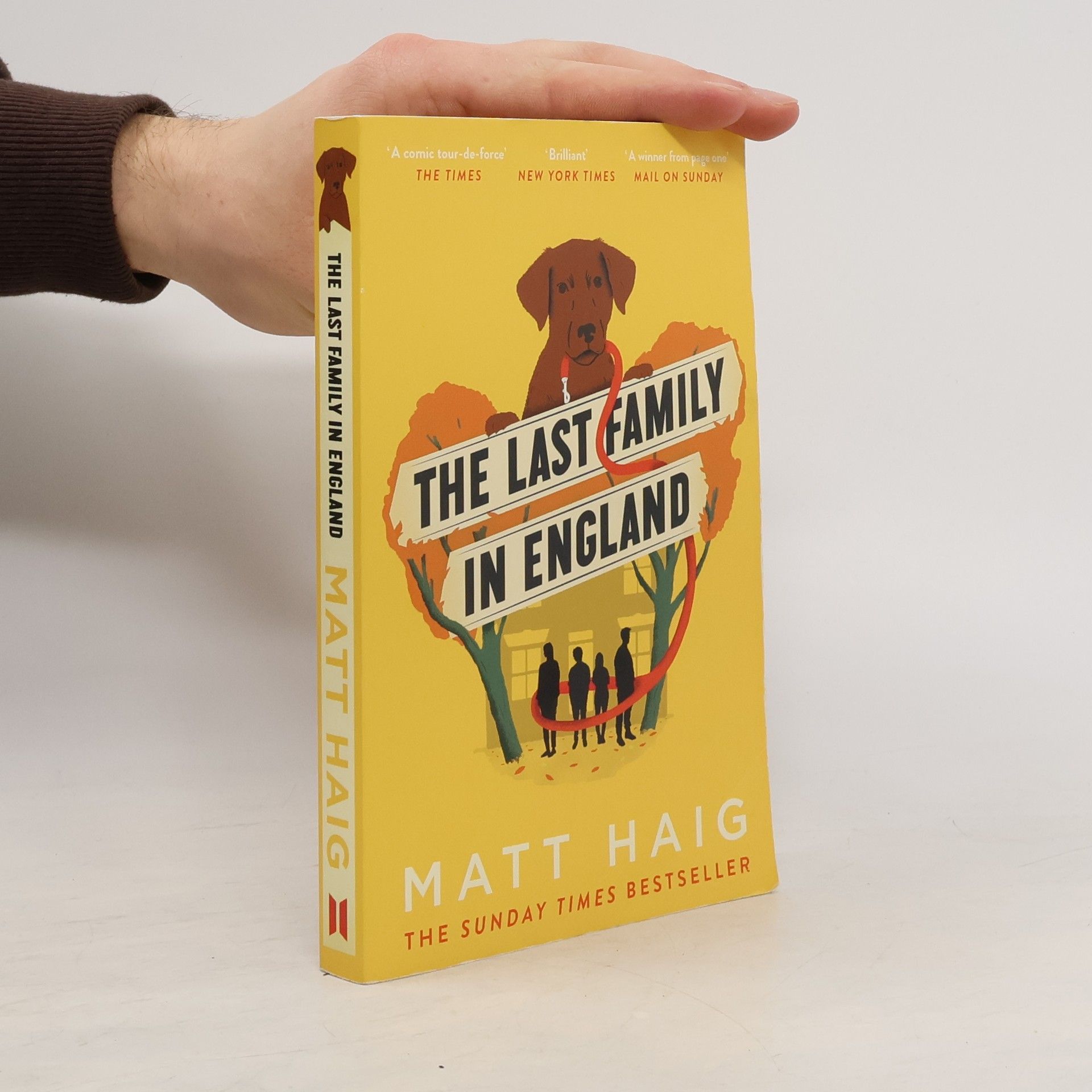 Matt Haig Last Family in England