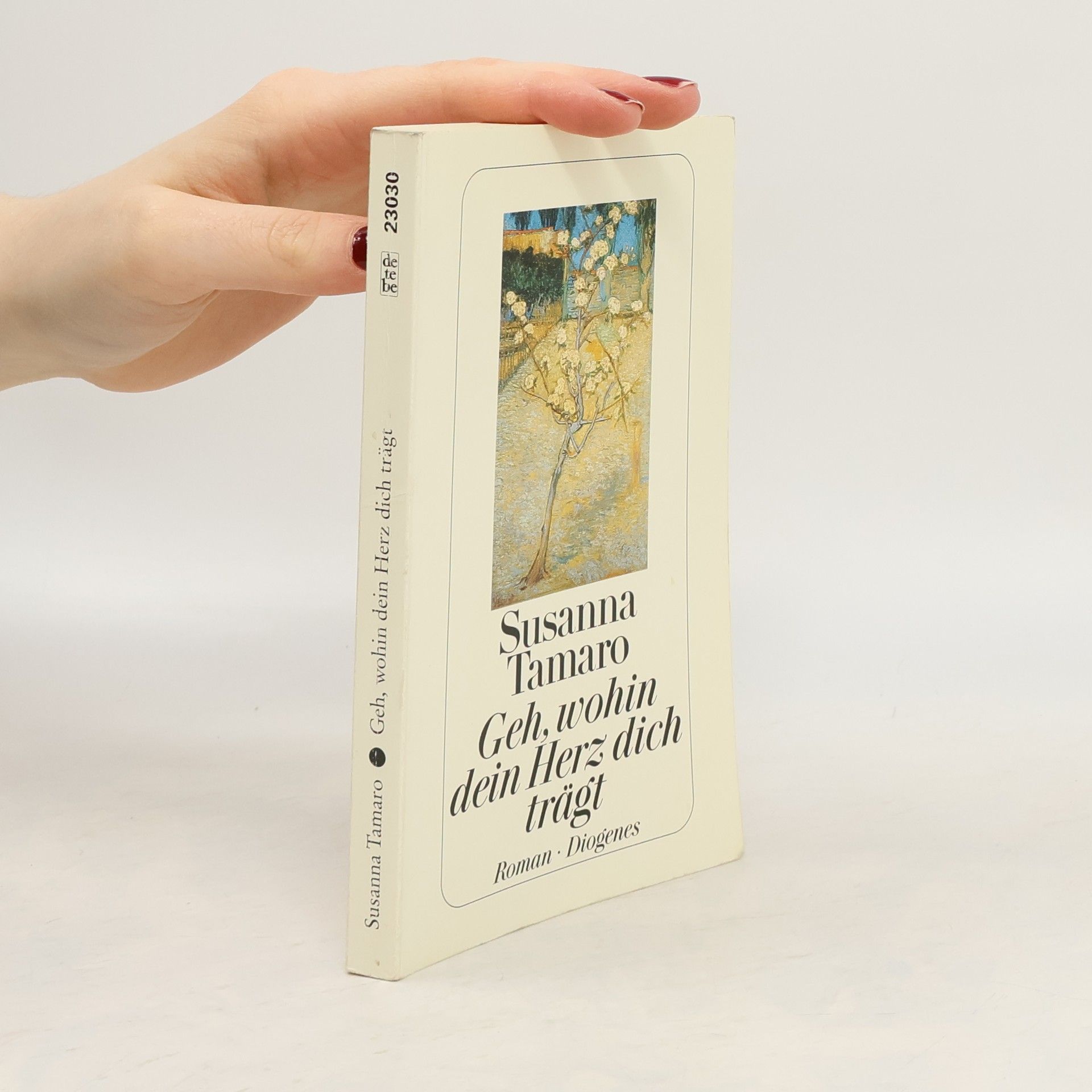 Susanna Tamaro Geh, wohin dein Herz dich trägt