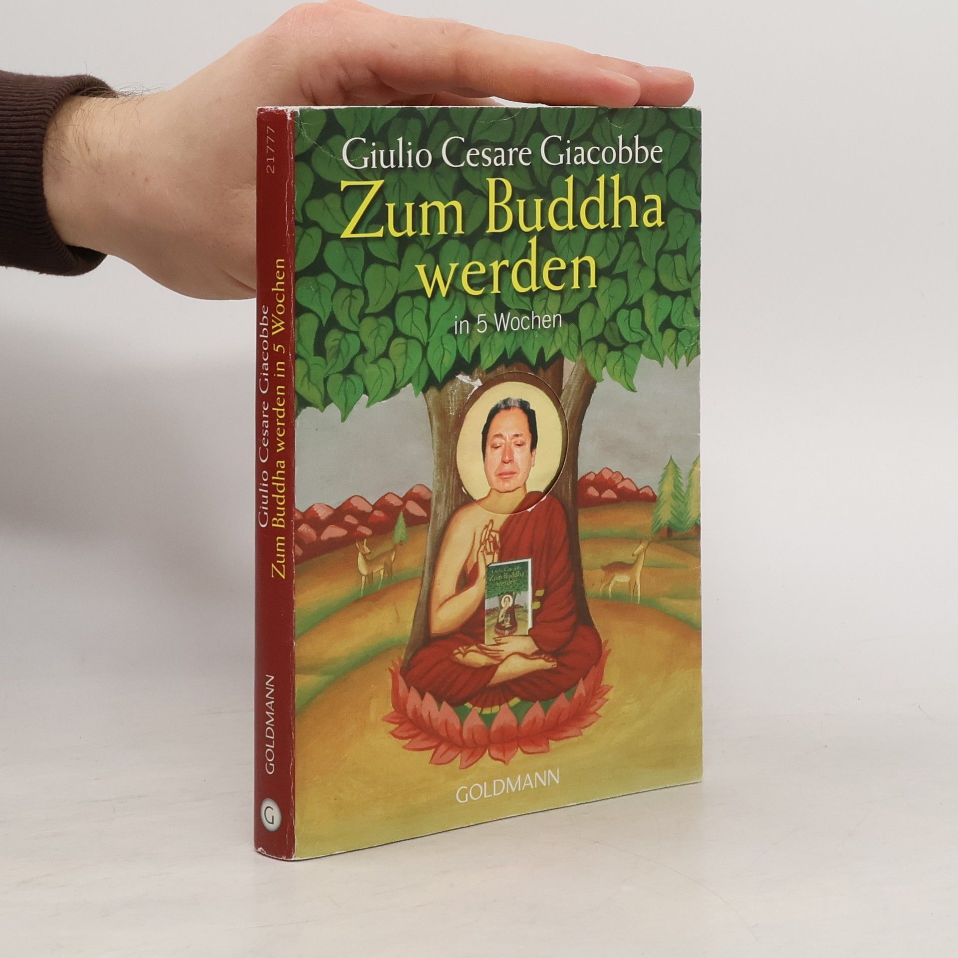 Giulio Cesare Giacobbe Zum Buddha werden in 5 Wochen