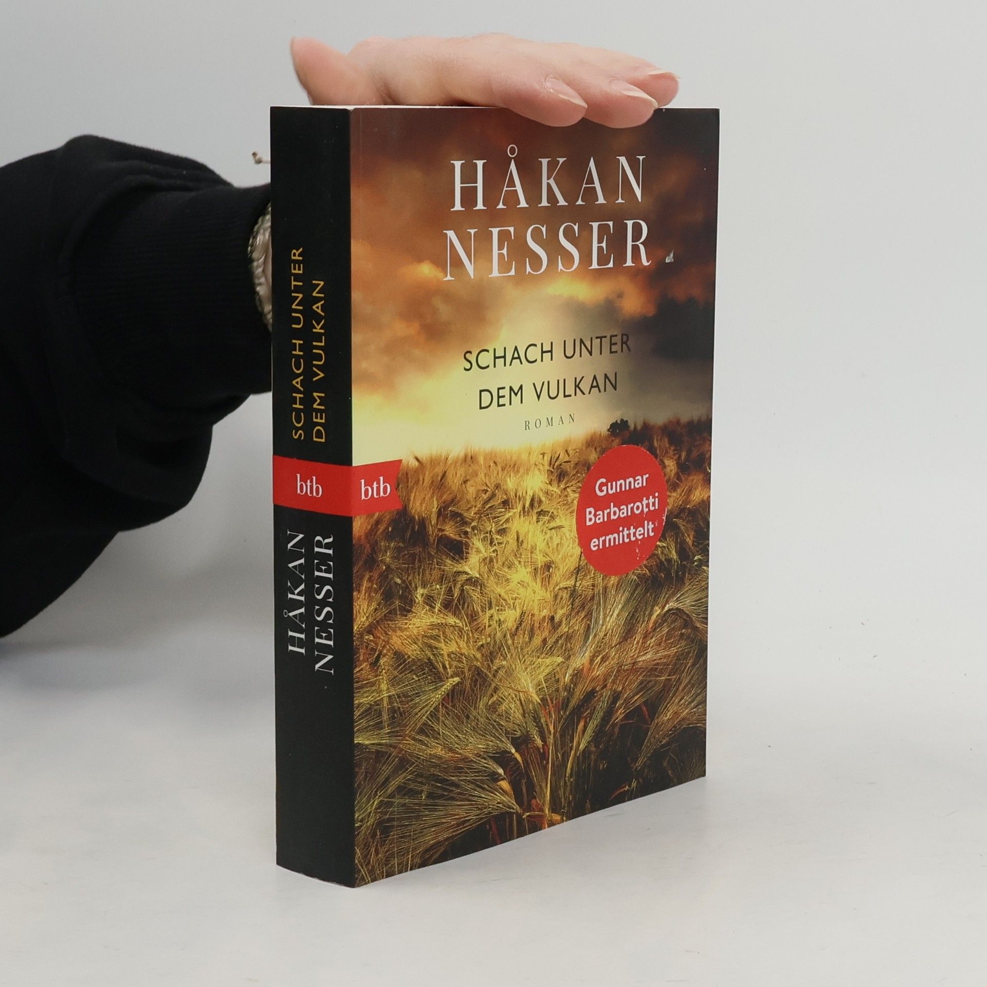 Håkan Nesser Schach unter dem Vulkan