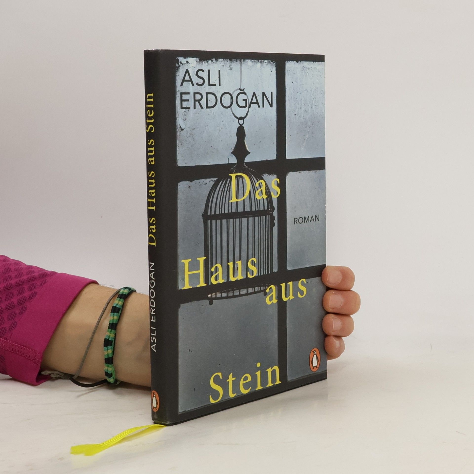 Asli Erdoǧan Das Haus aus Stein