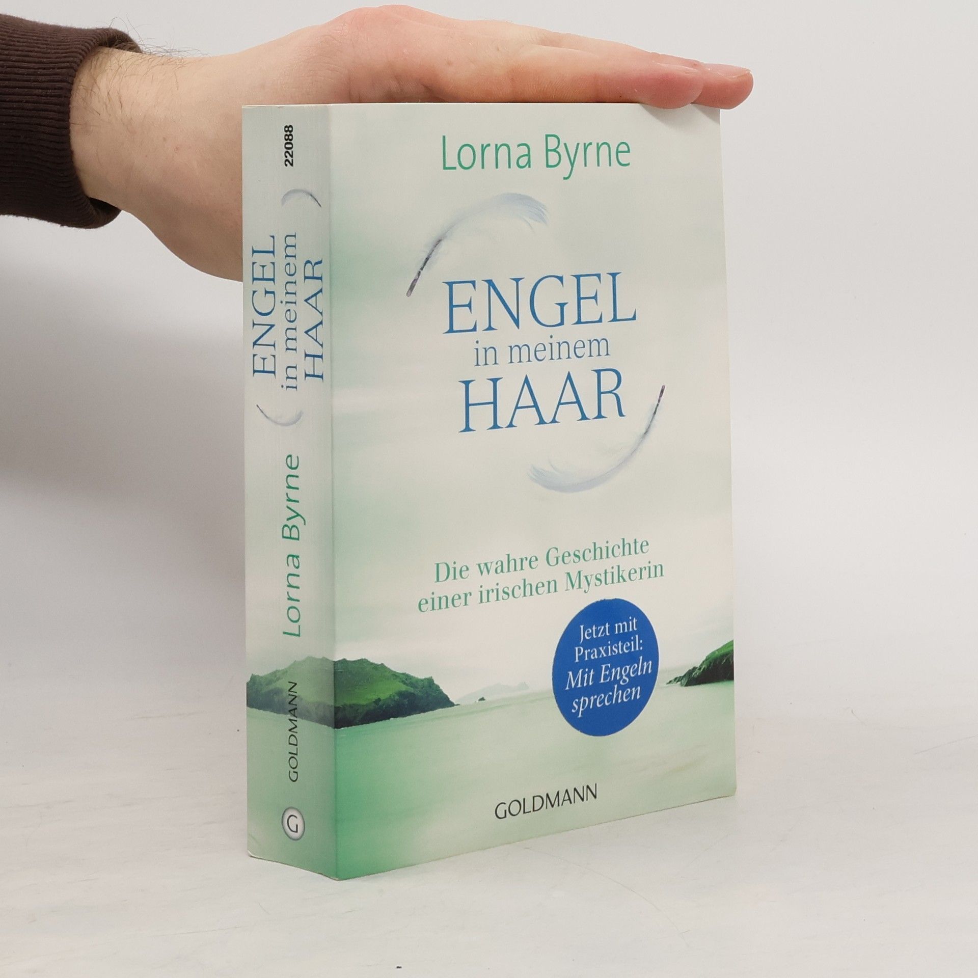 Lorna Byrne Engel in meinem Haar