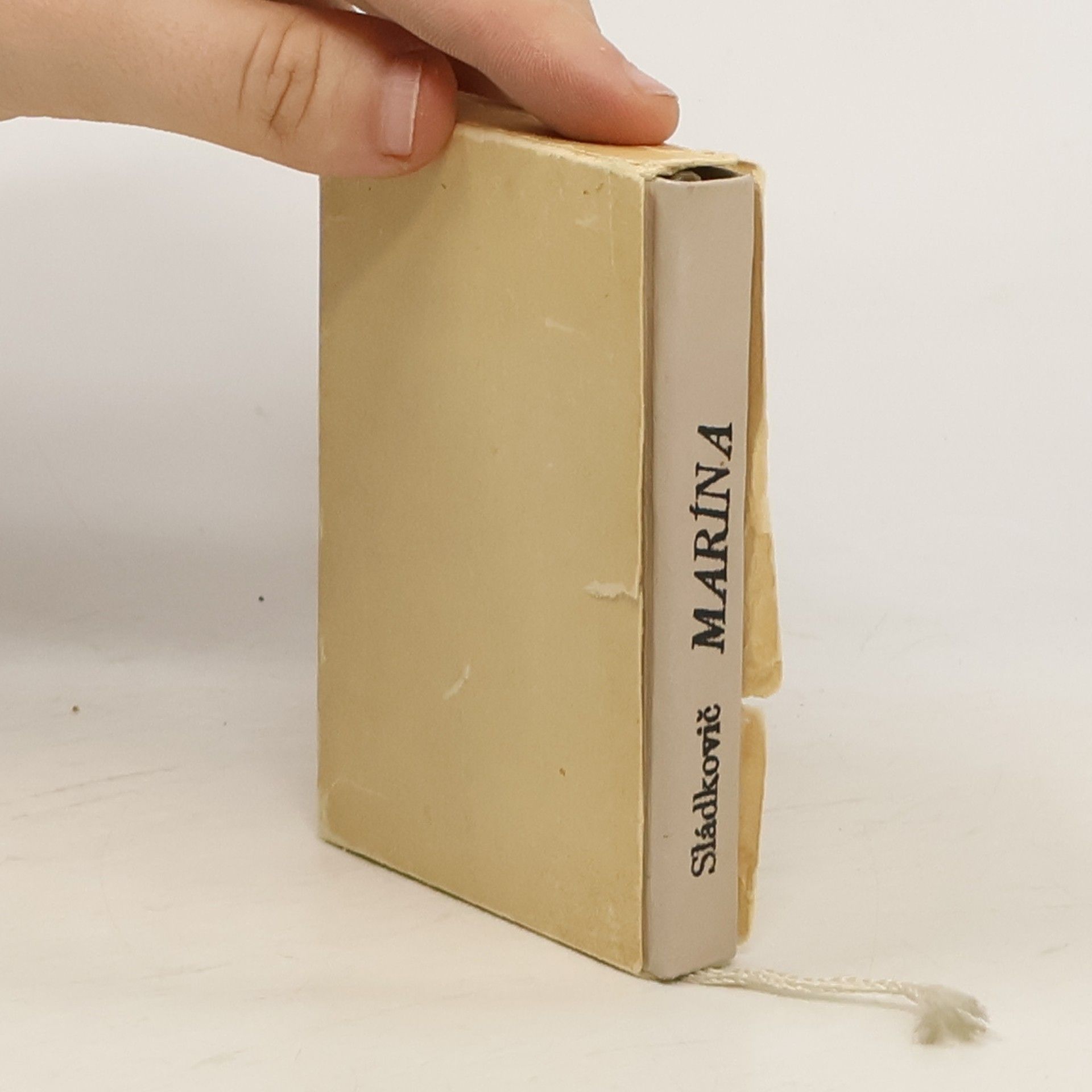 Andrej Sládkovič Marína