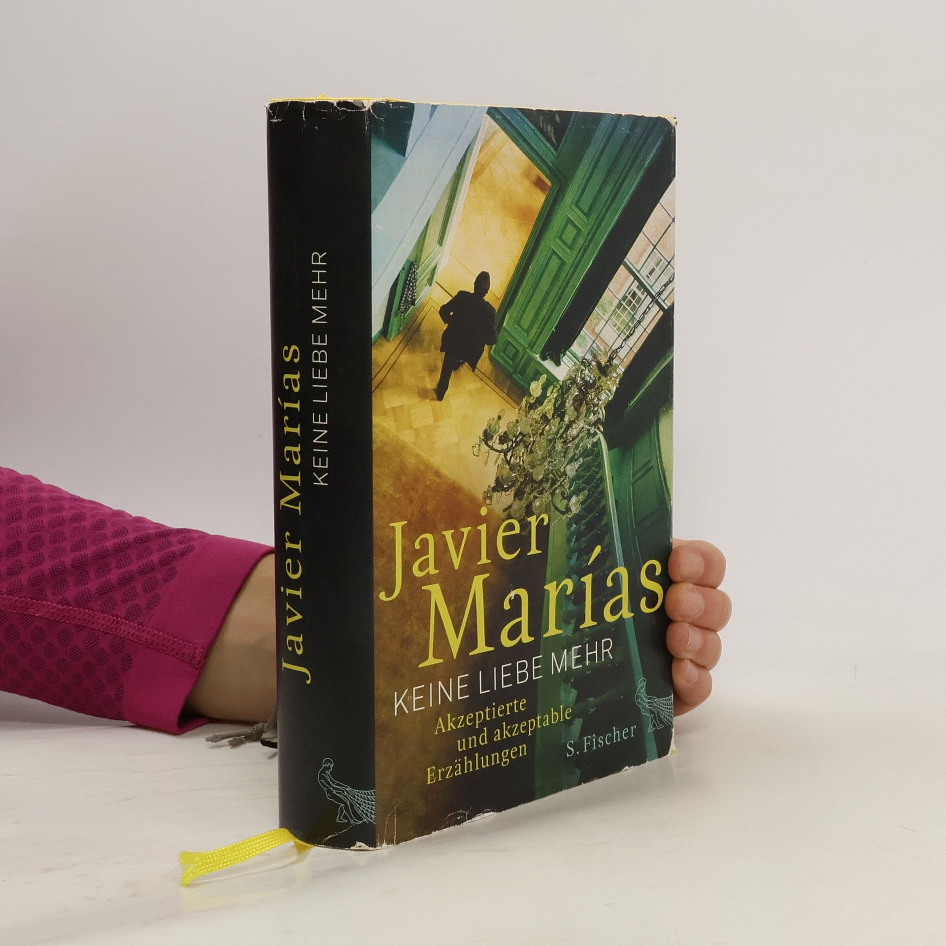 Javier Marías Keine Liebe mehr