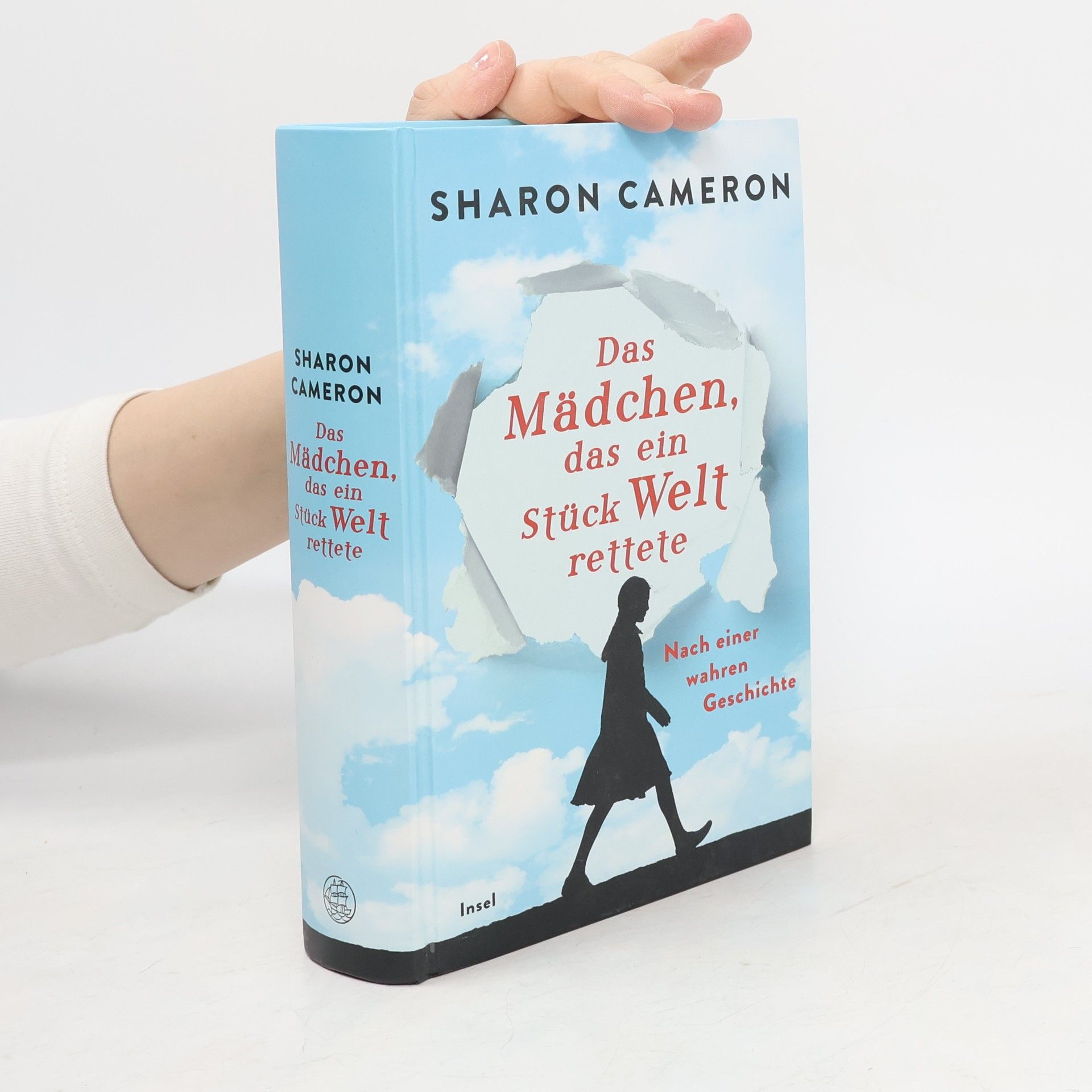 Sharon Cameron Das Mädchen, das ein Stück Welt rettete