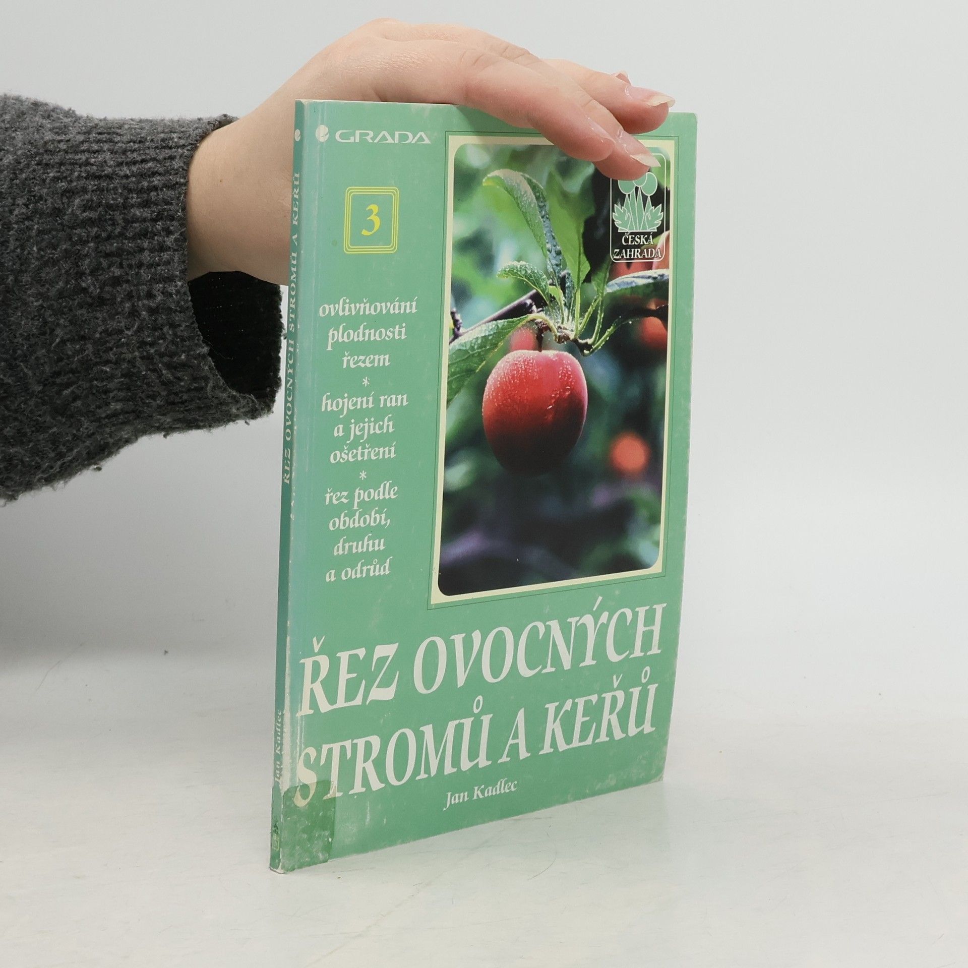 Řez ovocných stromů a keřů