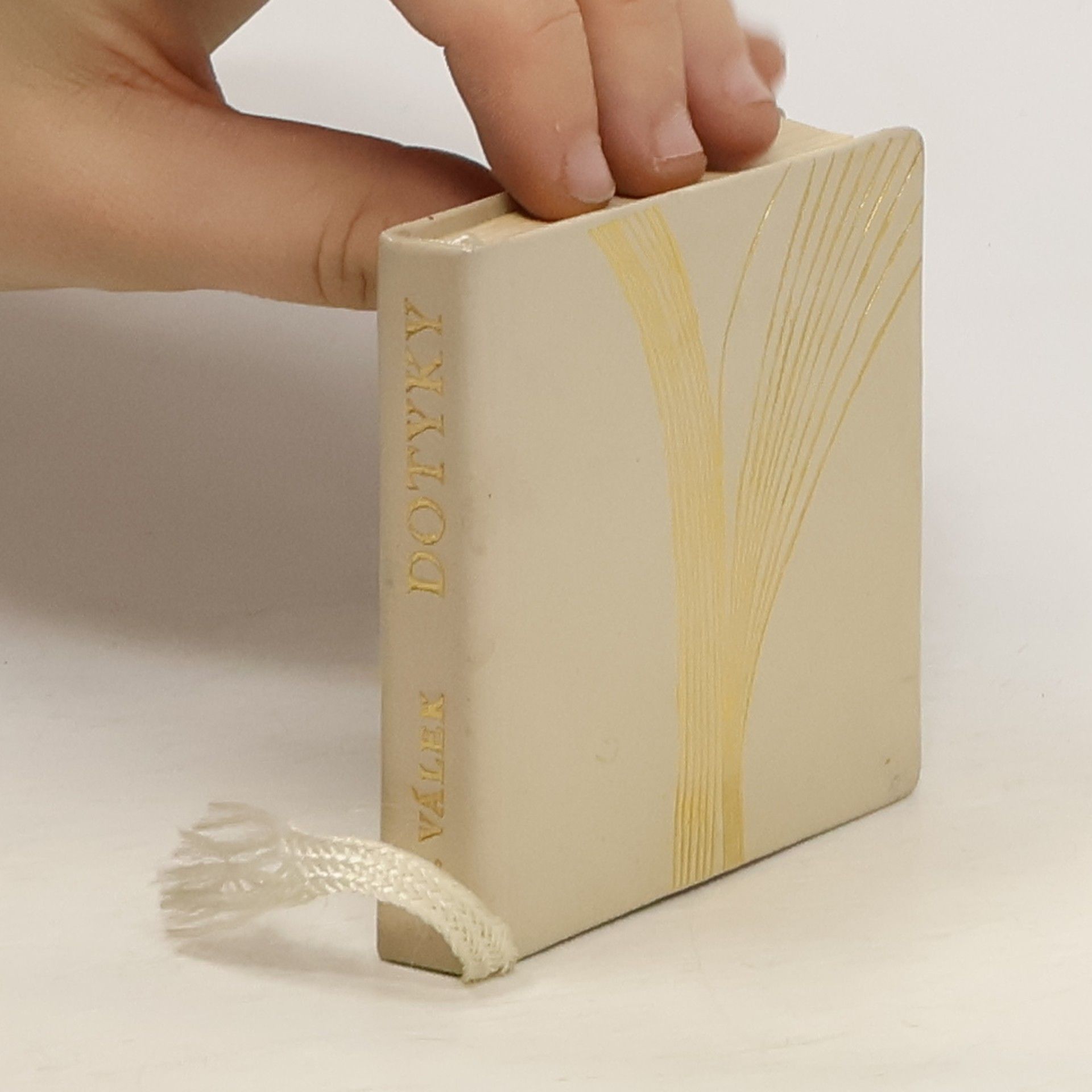 Miroslav Válek Dotyky