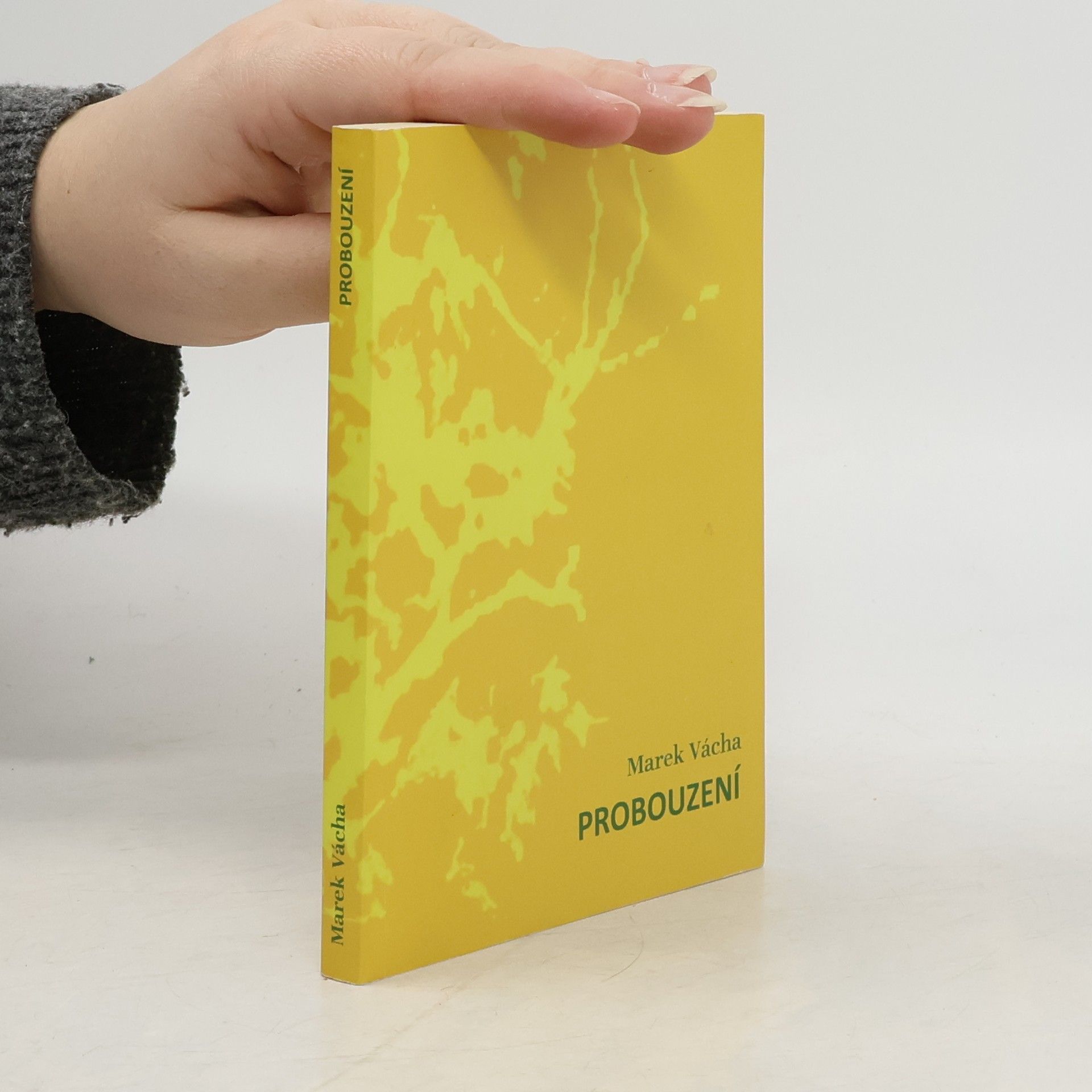 Marek Vácha Probouzení