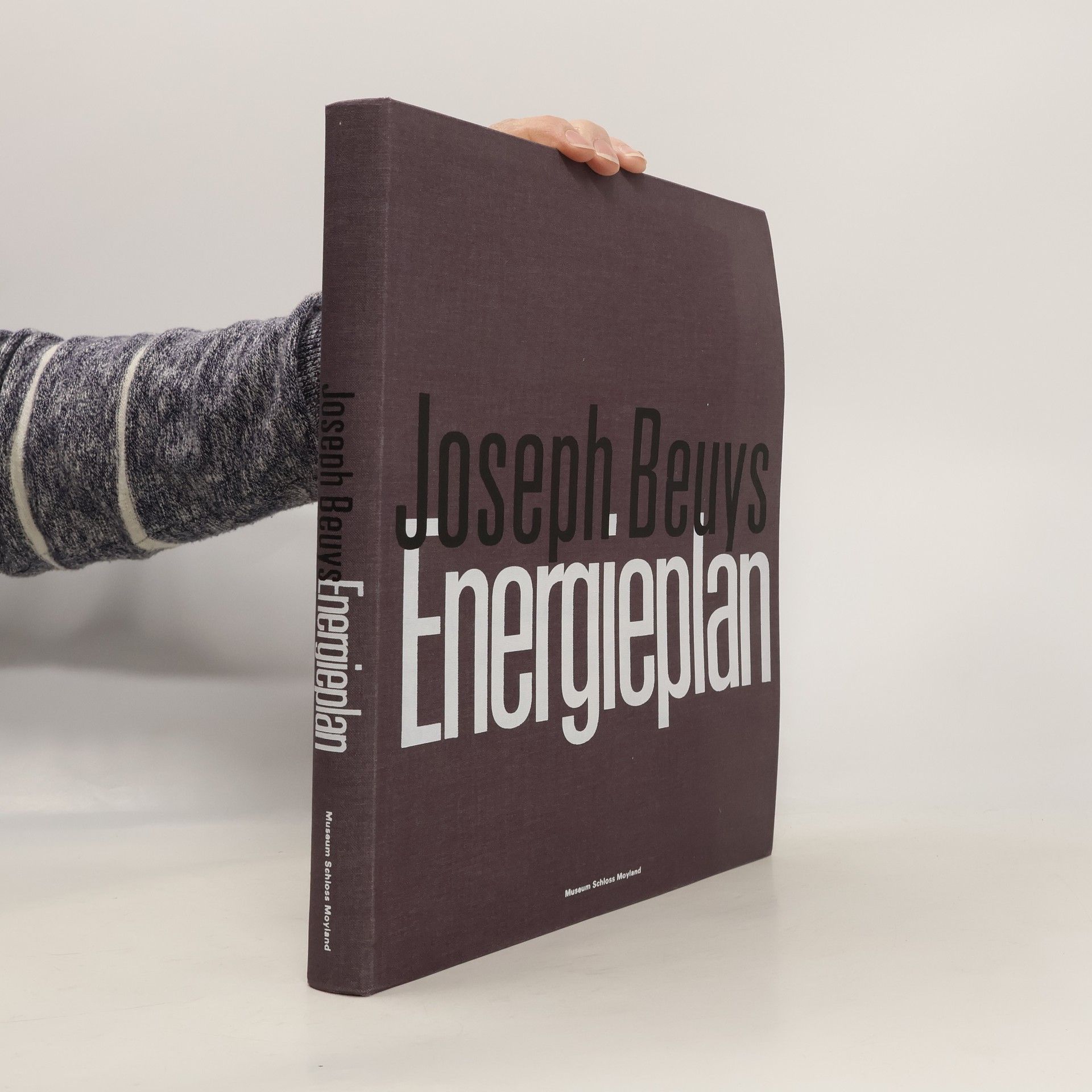 Joseph Beuys Beuys: Energieplan