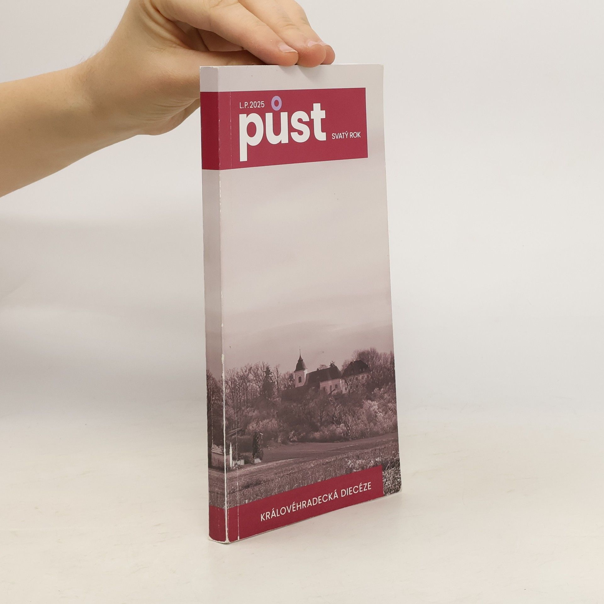 AA.VV. Půst: svatý rok