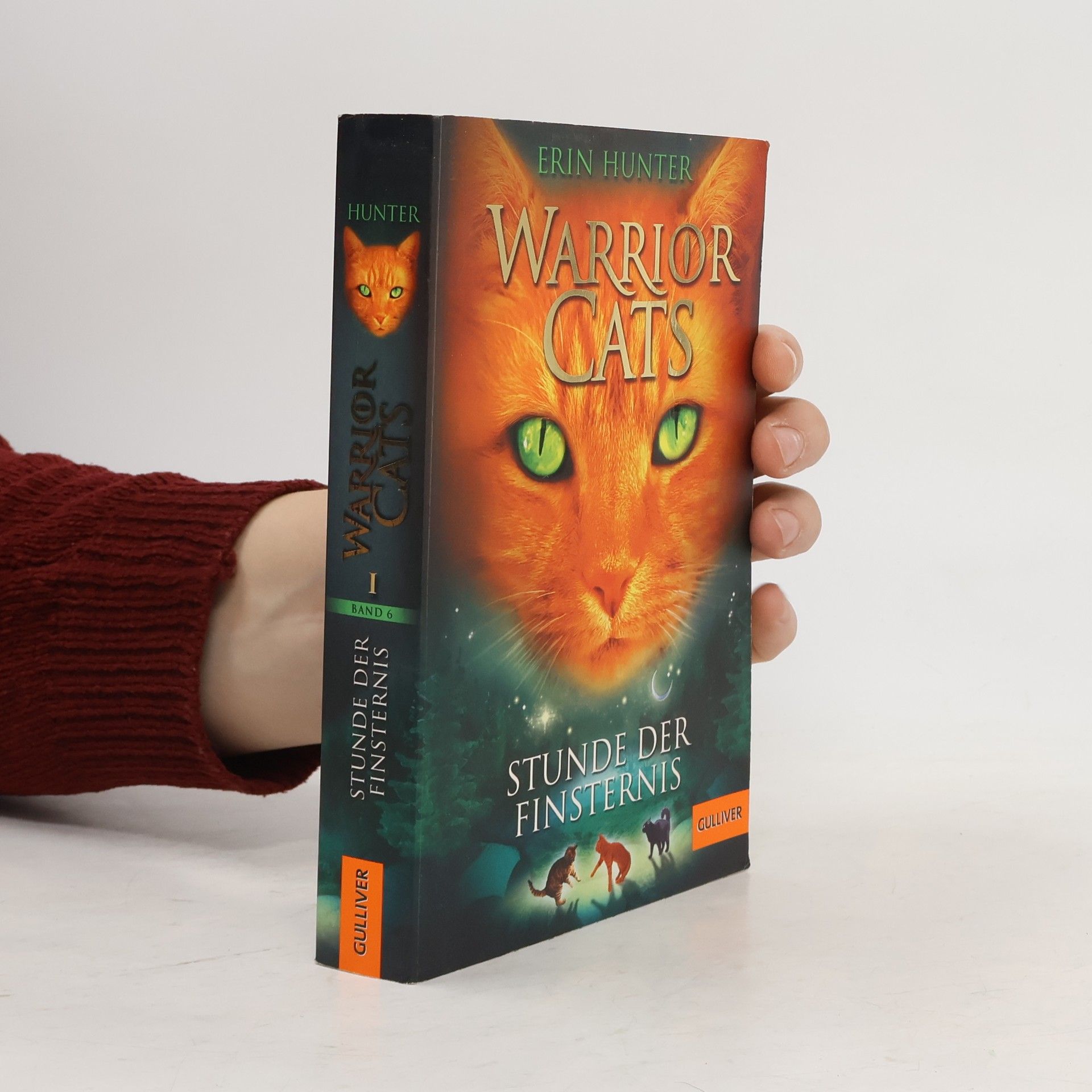 Erin Hunter Stunde der Finsternis