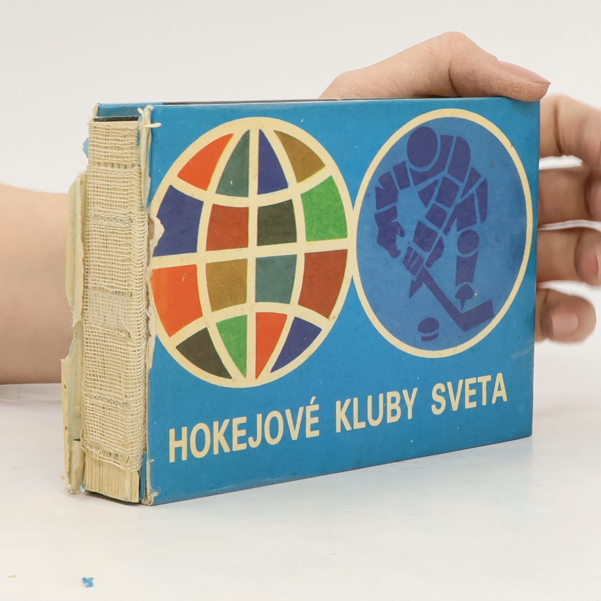 Pavel König Hokejové kluby sveta