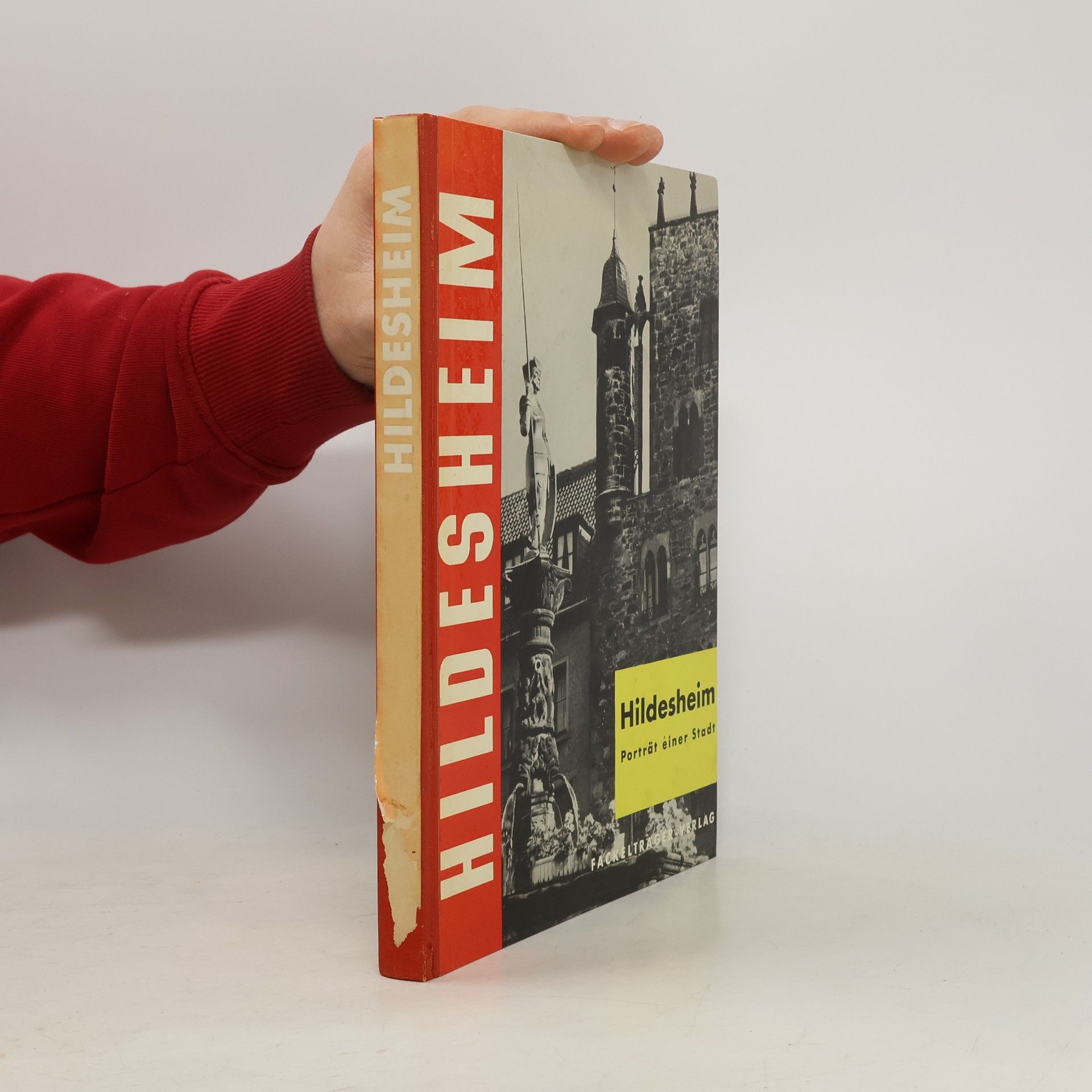 Joachim M. Raffert Hildesheim. Porträt einer Stadt