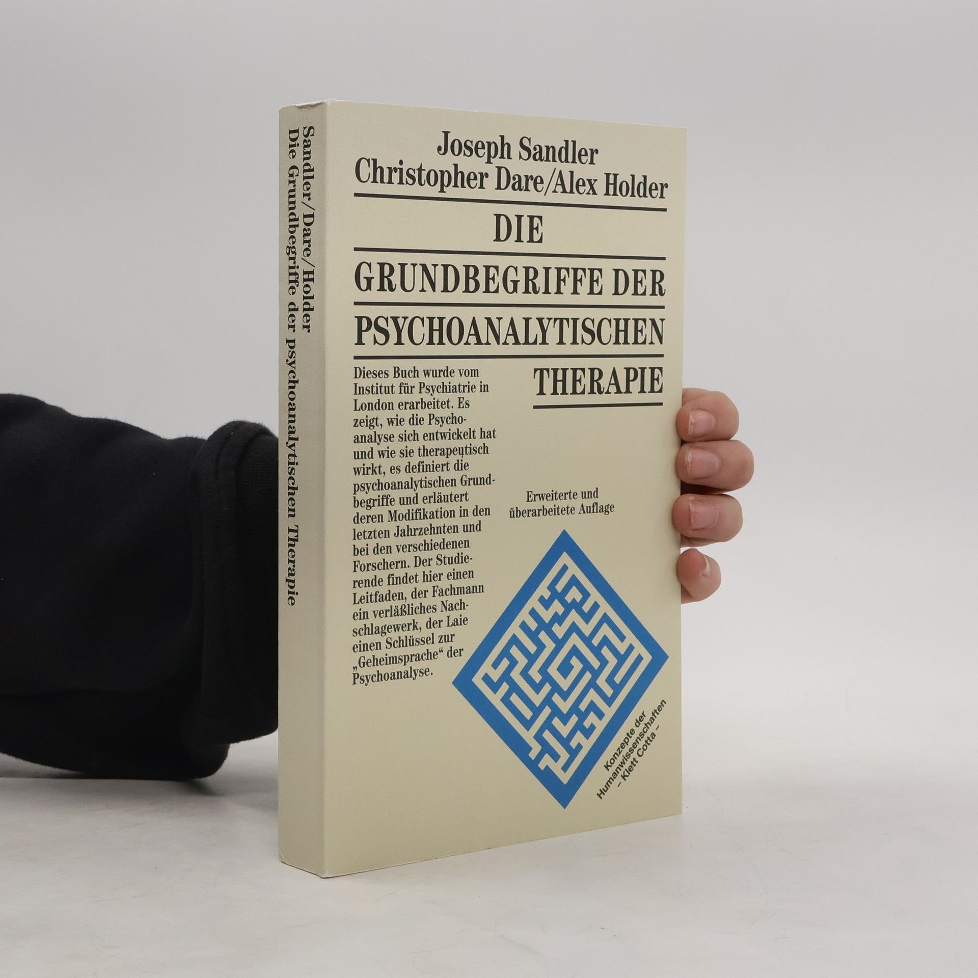 Die Grundbegriffe der psychoanalytischen Therapie