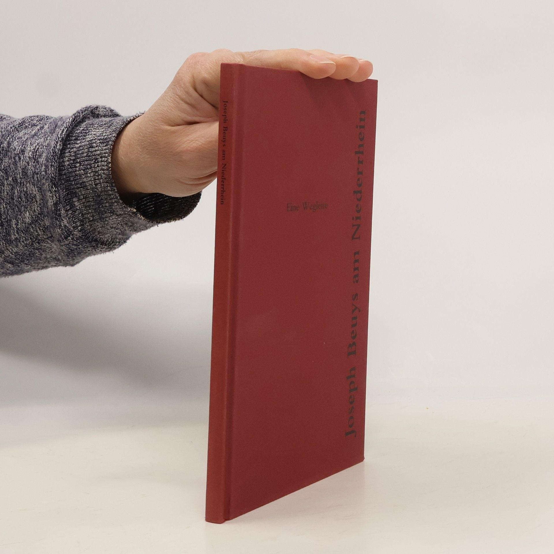 Joseph Beuys am Niederrhein