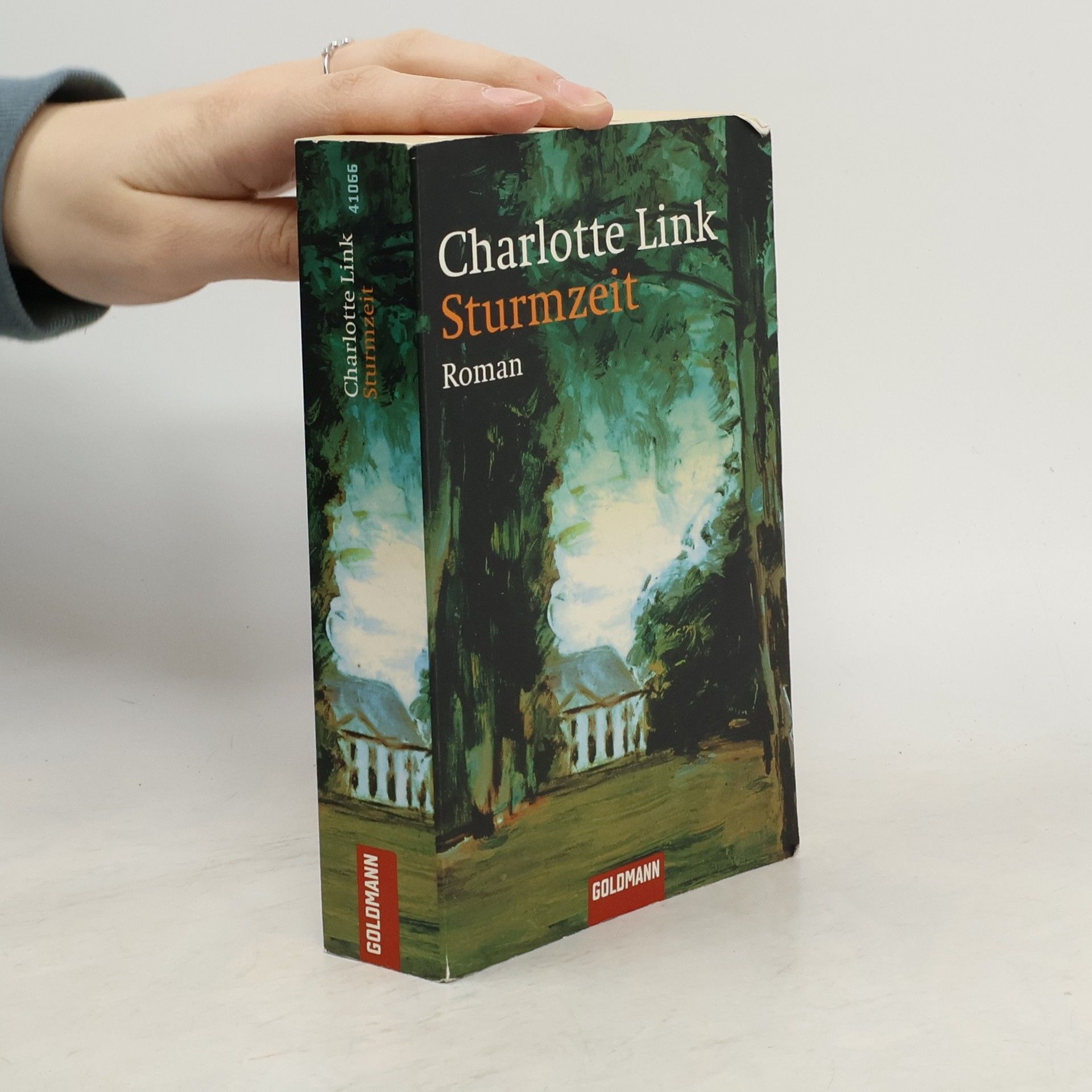 Charlotte Link Sturmzeit