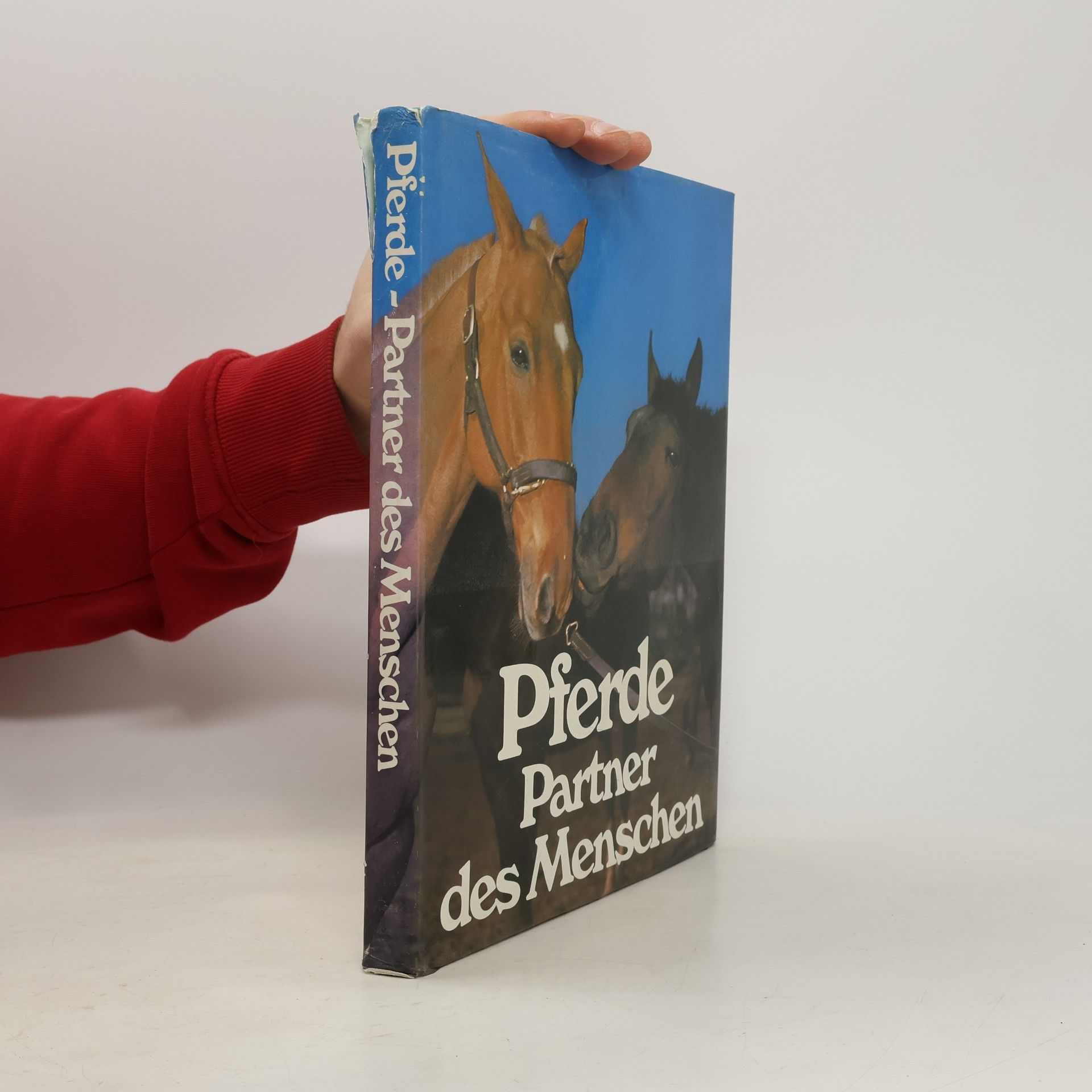 Pferde. Partner des Menschen