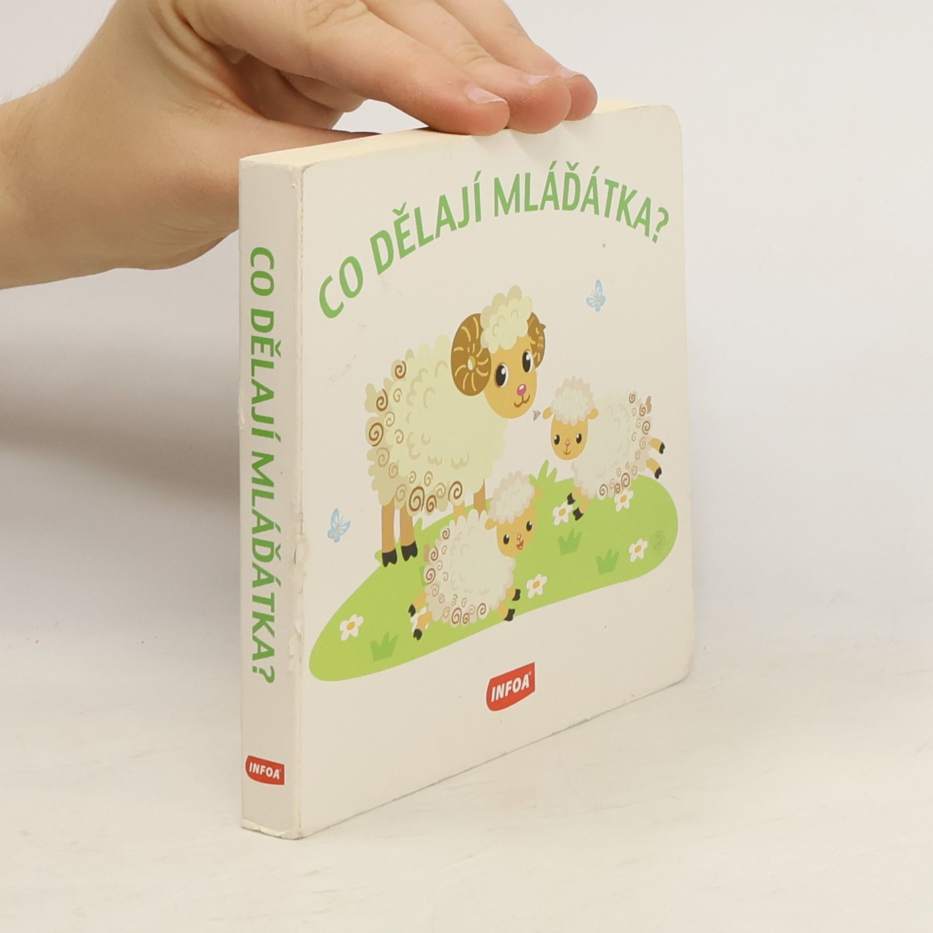 Autorenkollektiv Co dělají mláďátka?