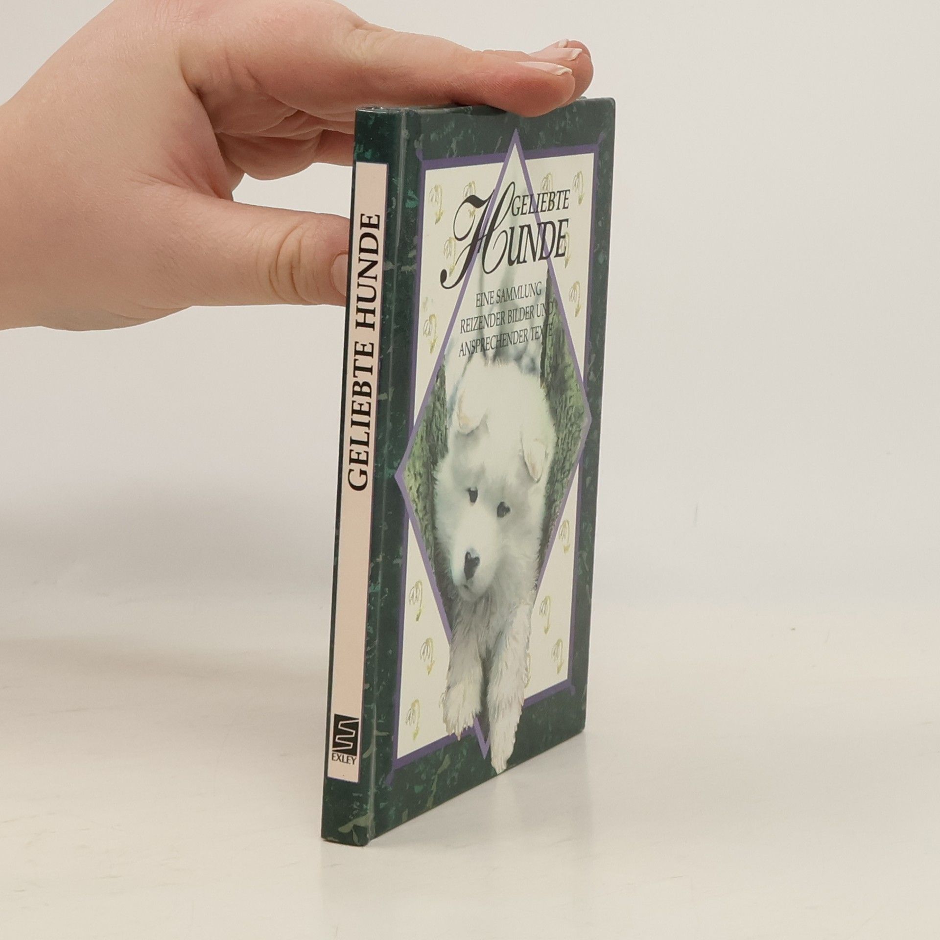 Helen Exley Geliebte Hunde