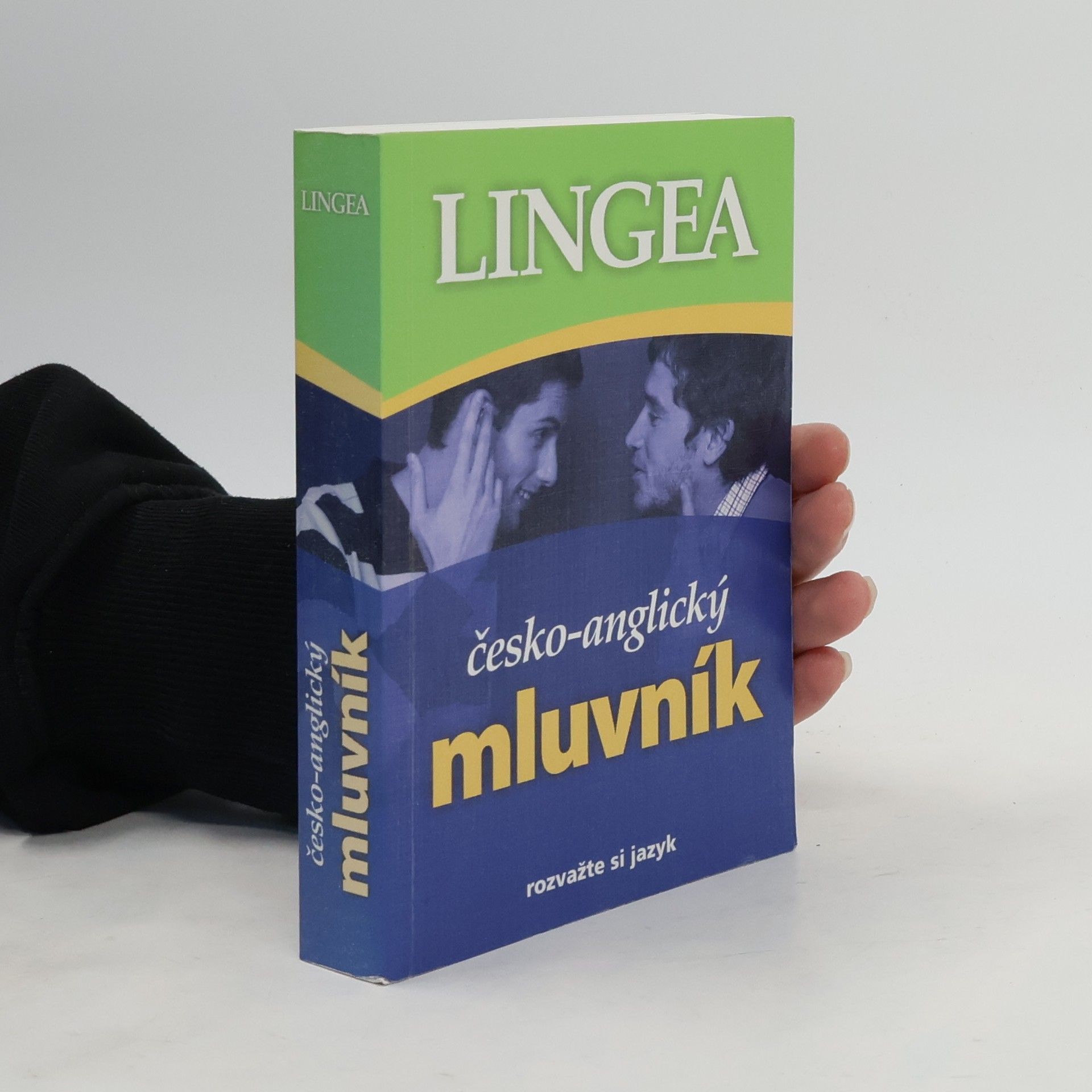 Kolektiv autorů Česko-anglický mluvník