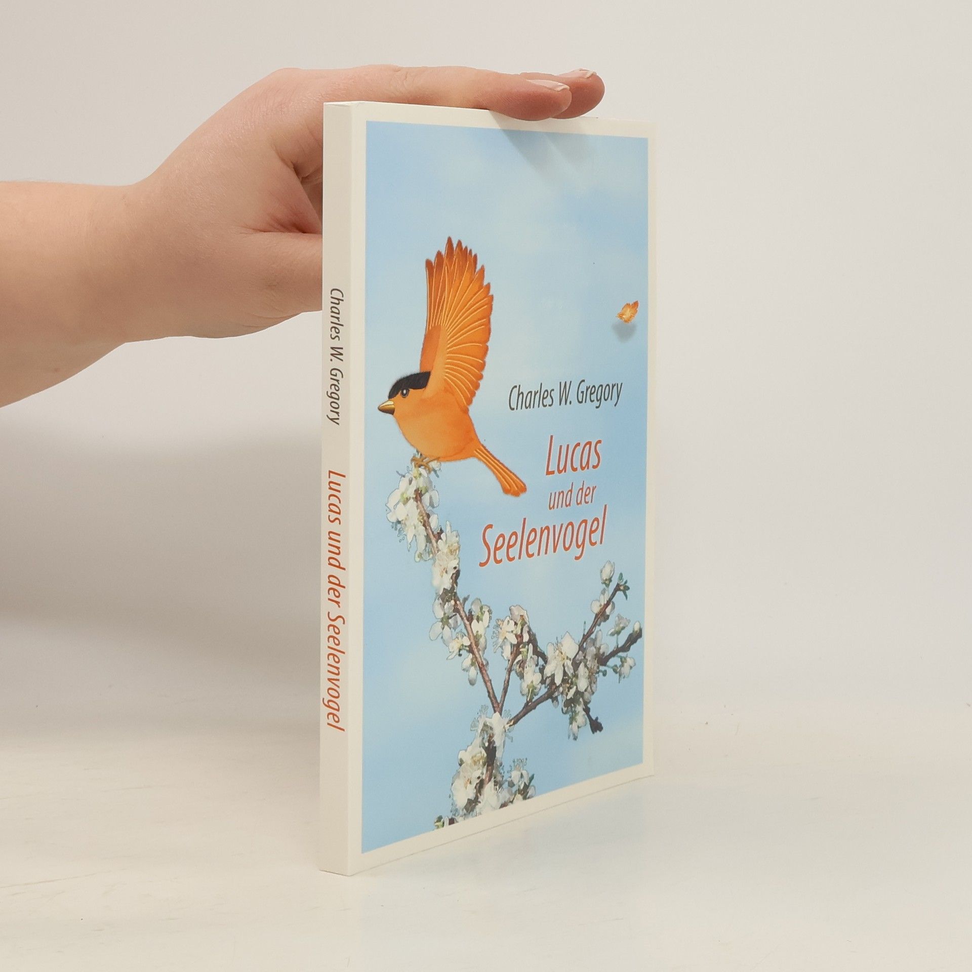 Lucas und der Seelenvogel