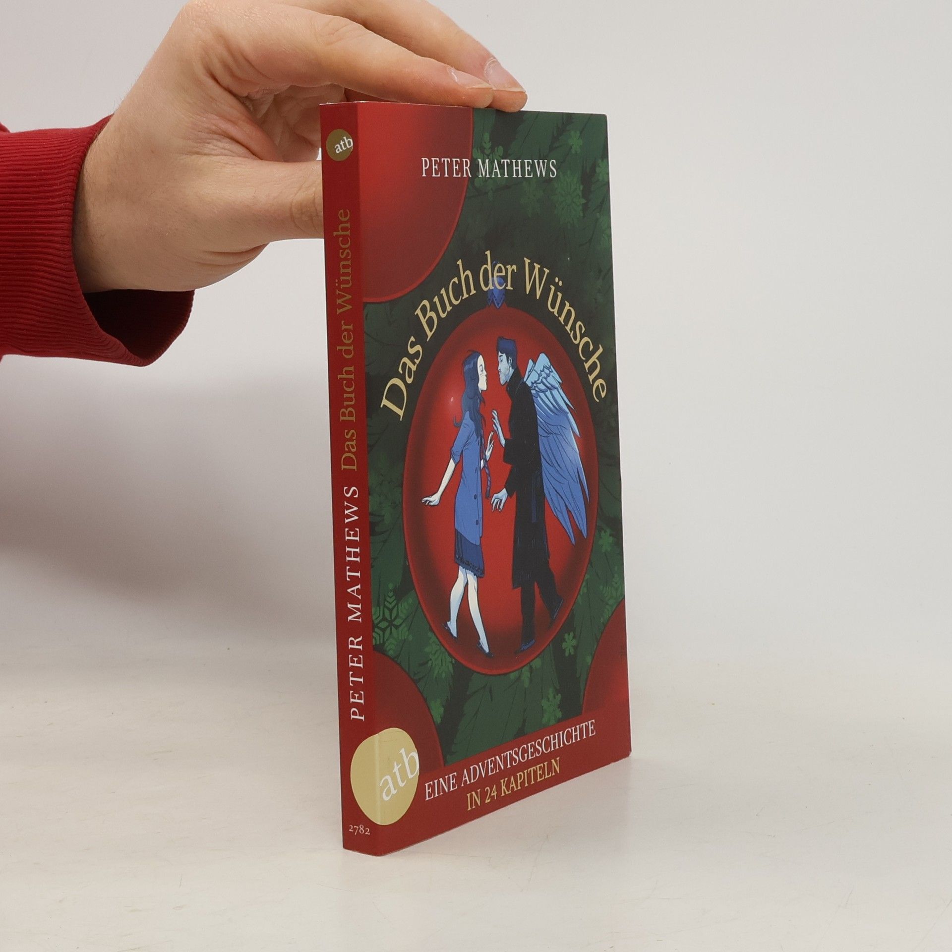 Das Buch der Wünsche. Eine Adventsgeschichte in 24 Kapiteln