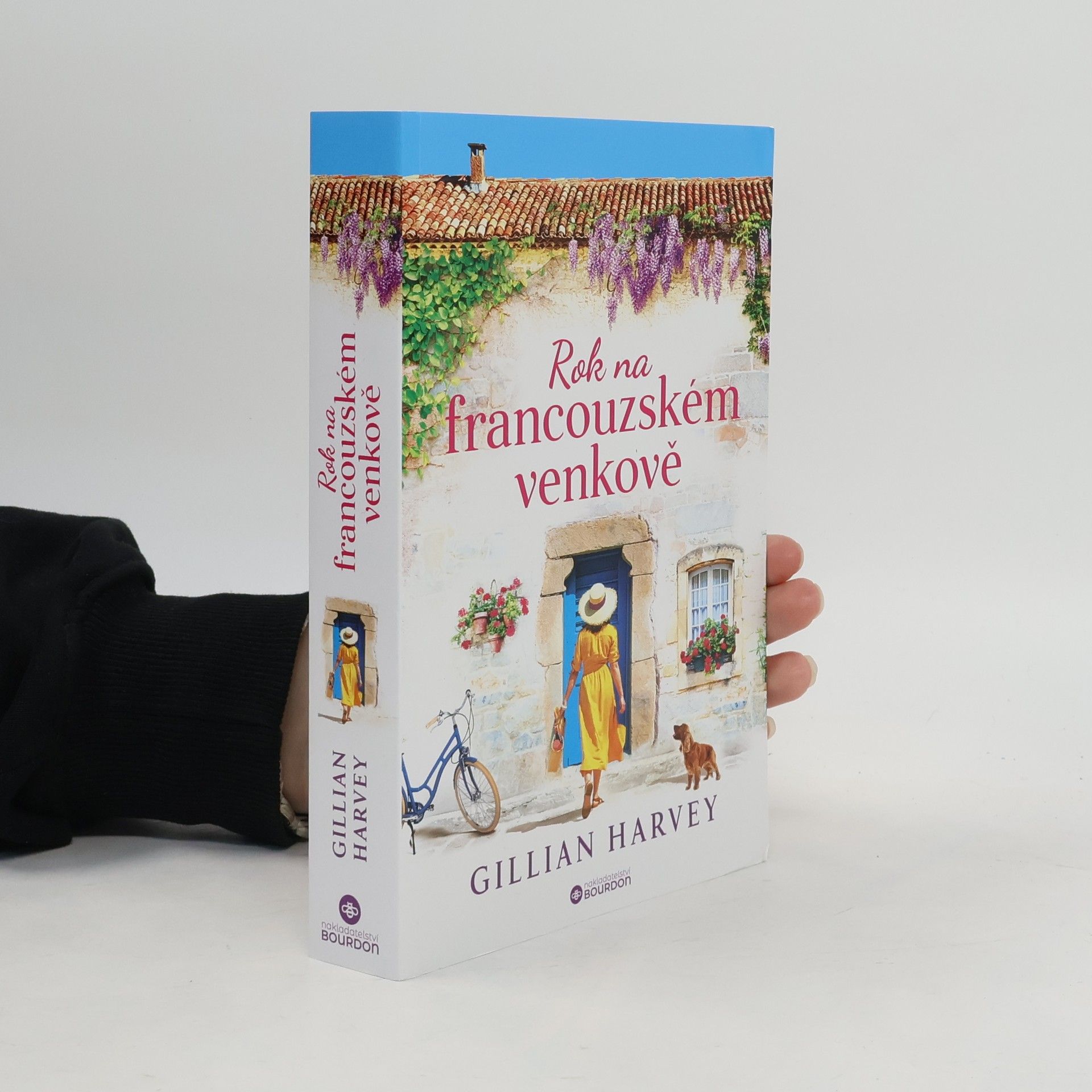 Gillian Harvey Rok na francouzském venkově