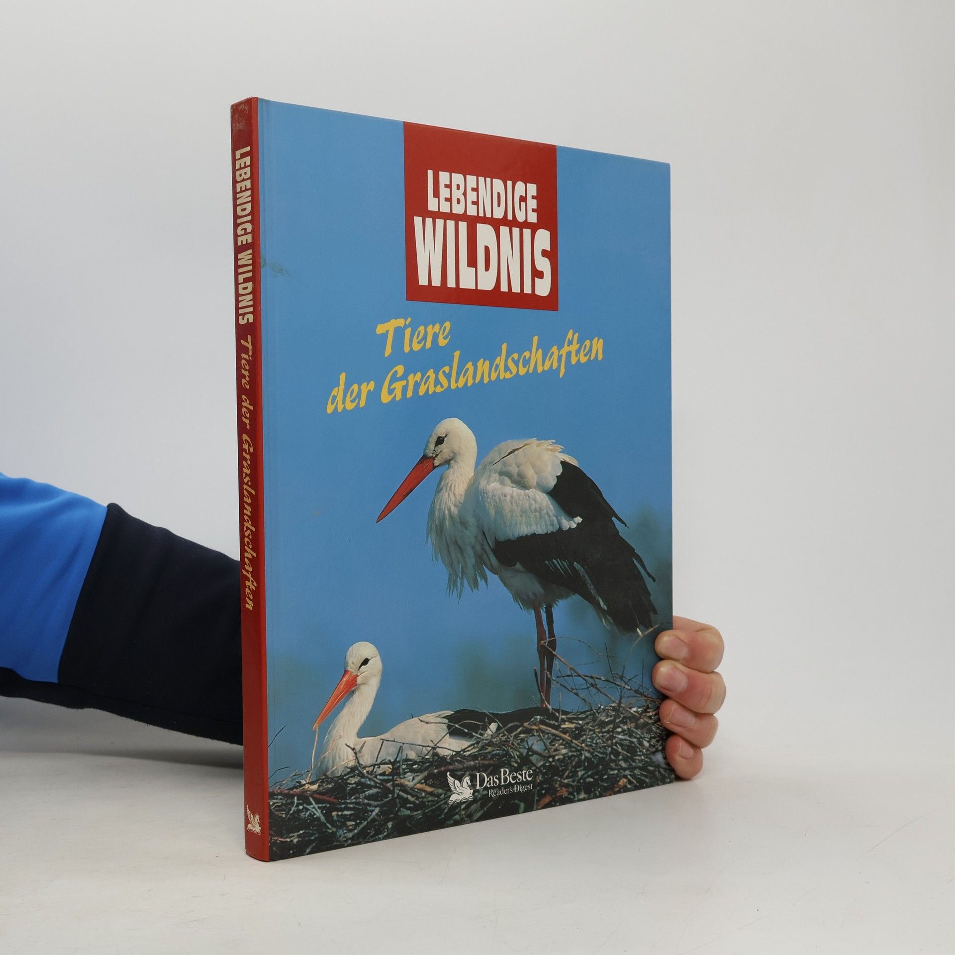 Collectif d'auteurs Lebendige Wildnis : Tiere der Graslandschaften