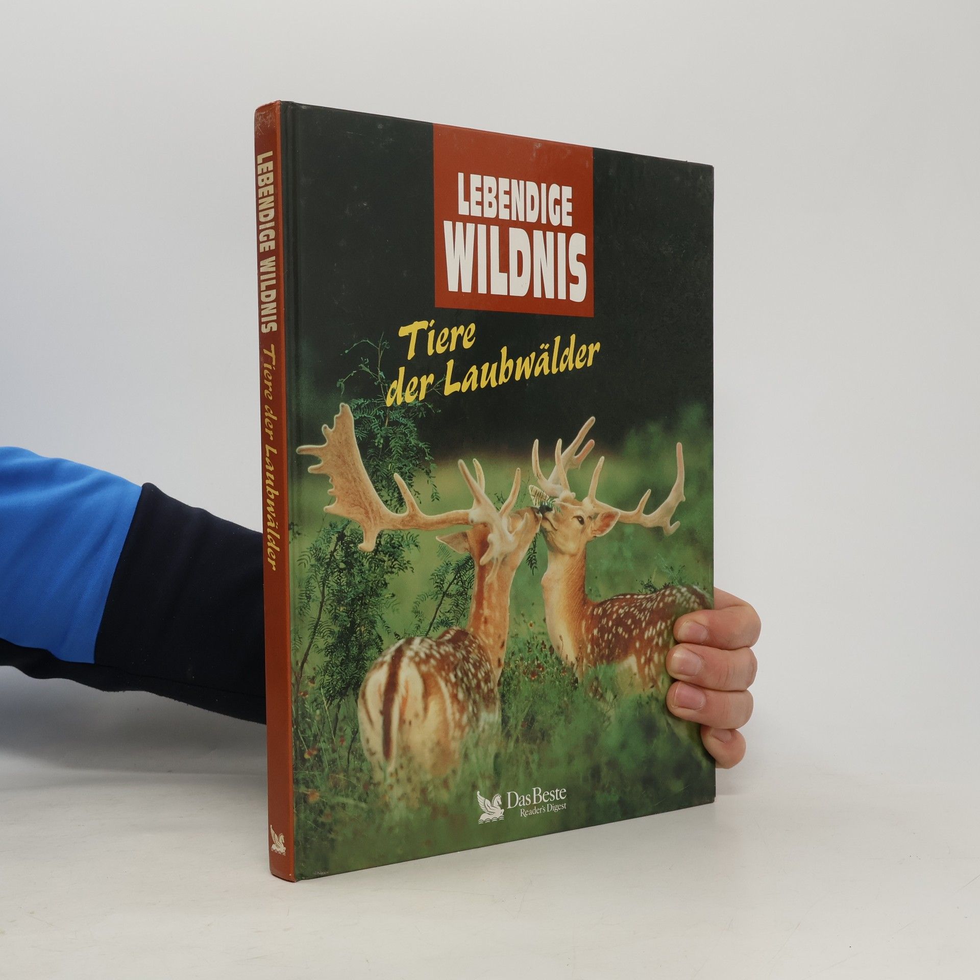 Annegret Diener-Steinherr Tiere der Laubwälder