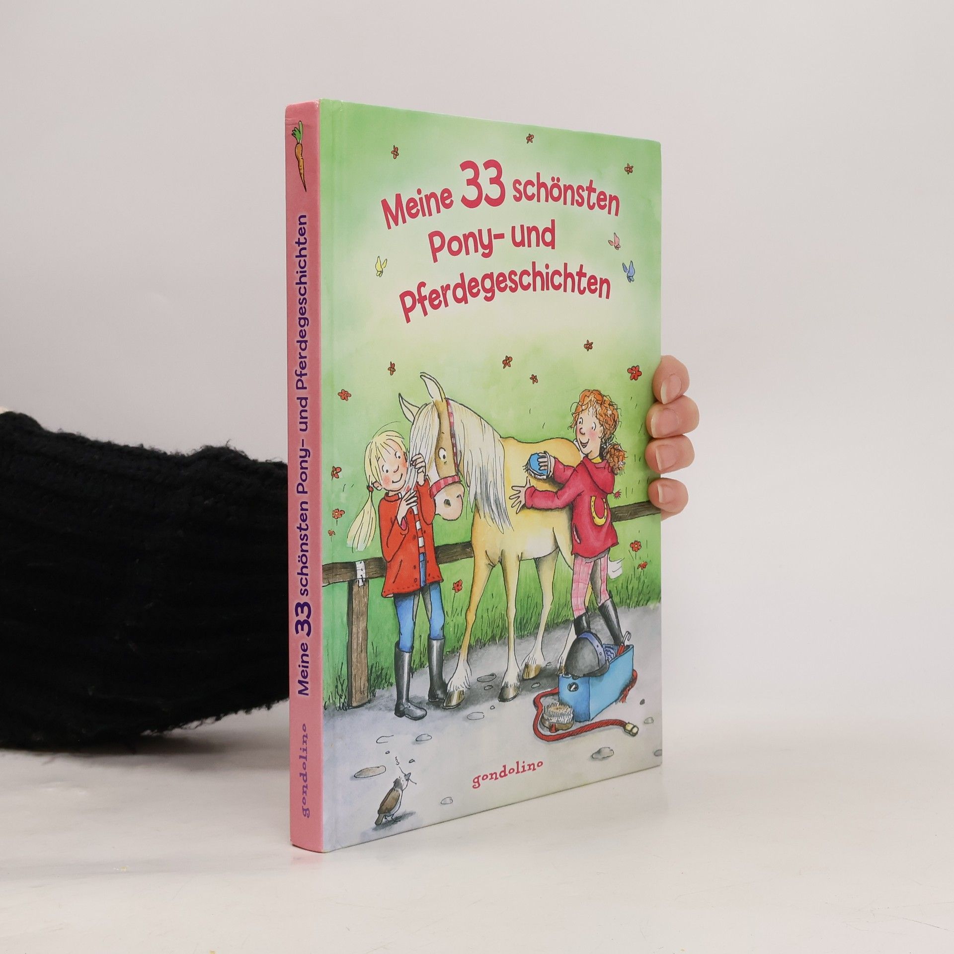 Various authors Meine 33 schönsten Pony- und Pferdegeschichten