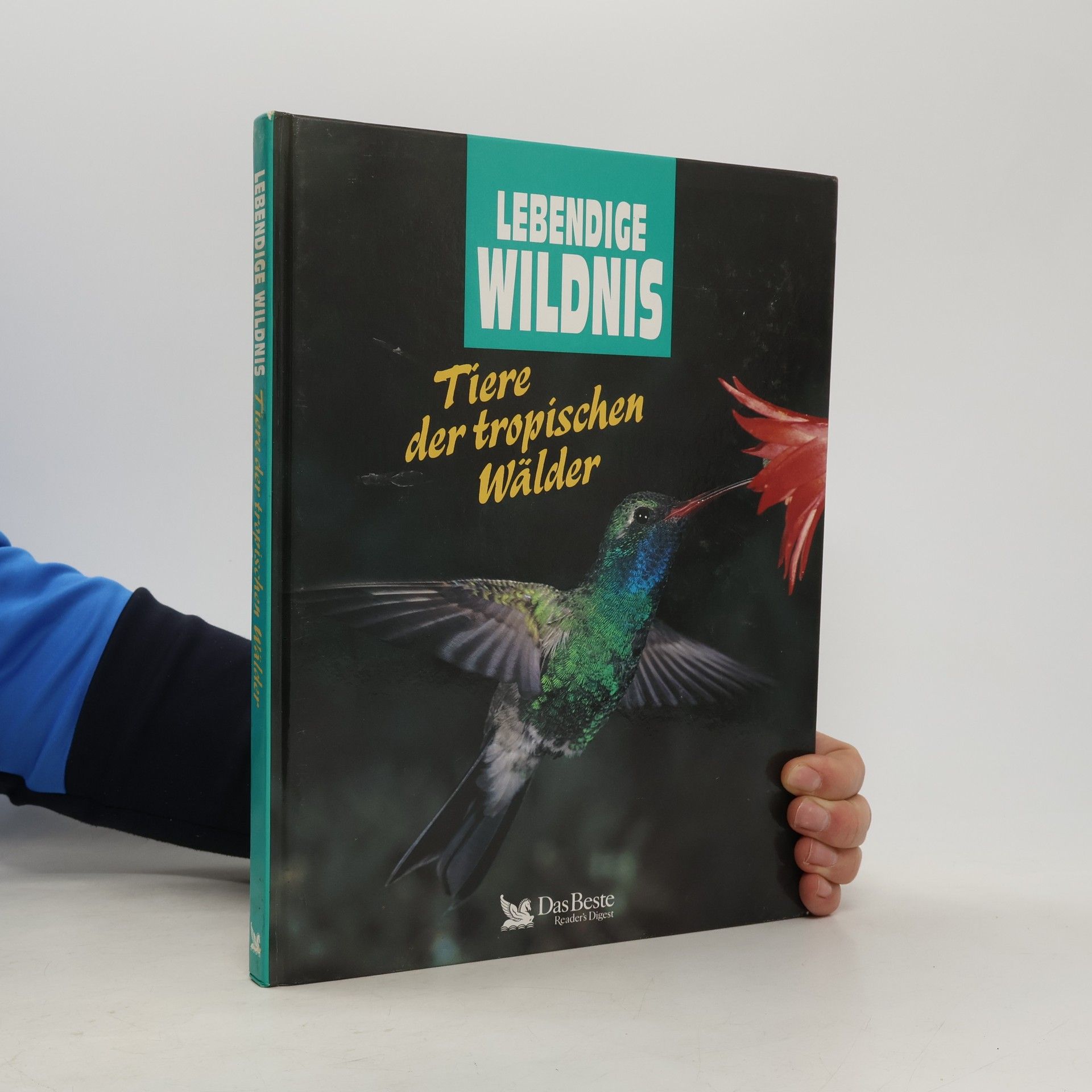 Angela Meder Tiere der tropischen Wälder