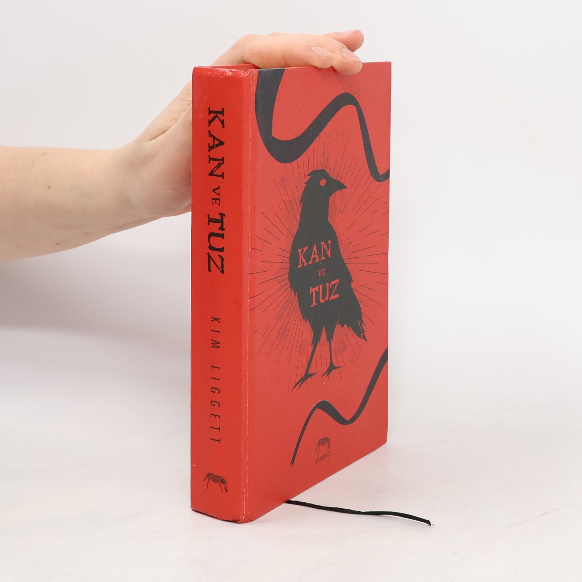 Kim Liggett Kan ve Tuz