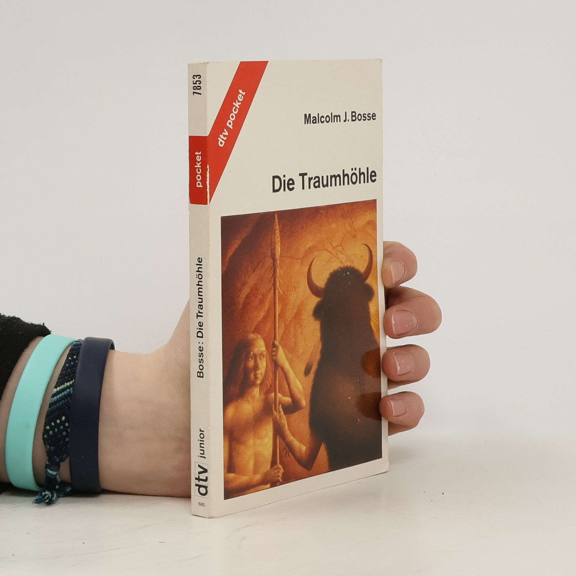 Malcolm J. Bosse Die Traumhöhle