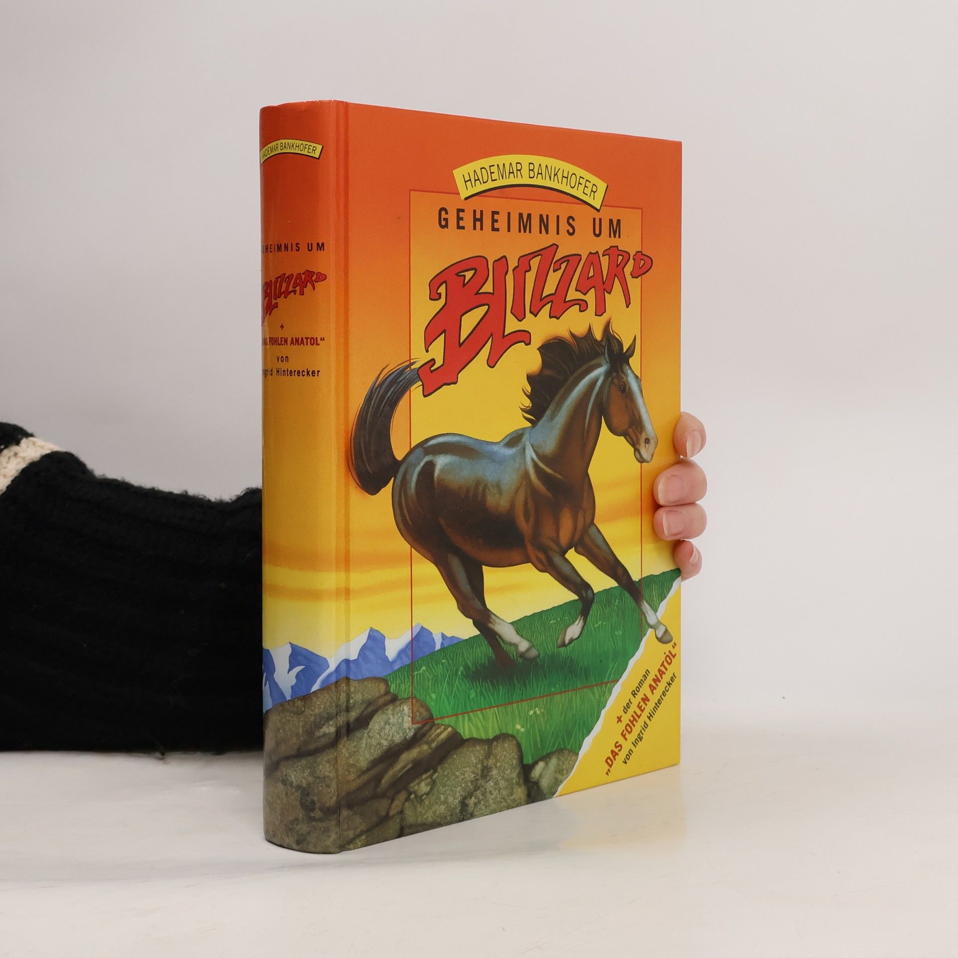 Hademar Bankhofer Geheimnis um Blizzard