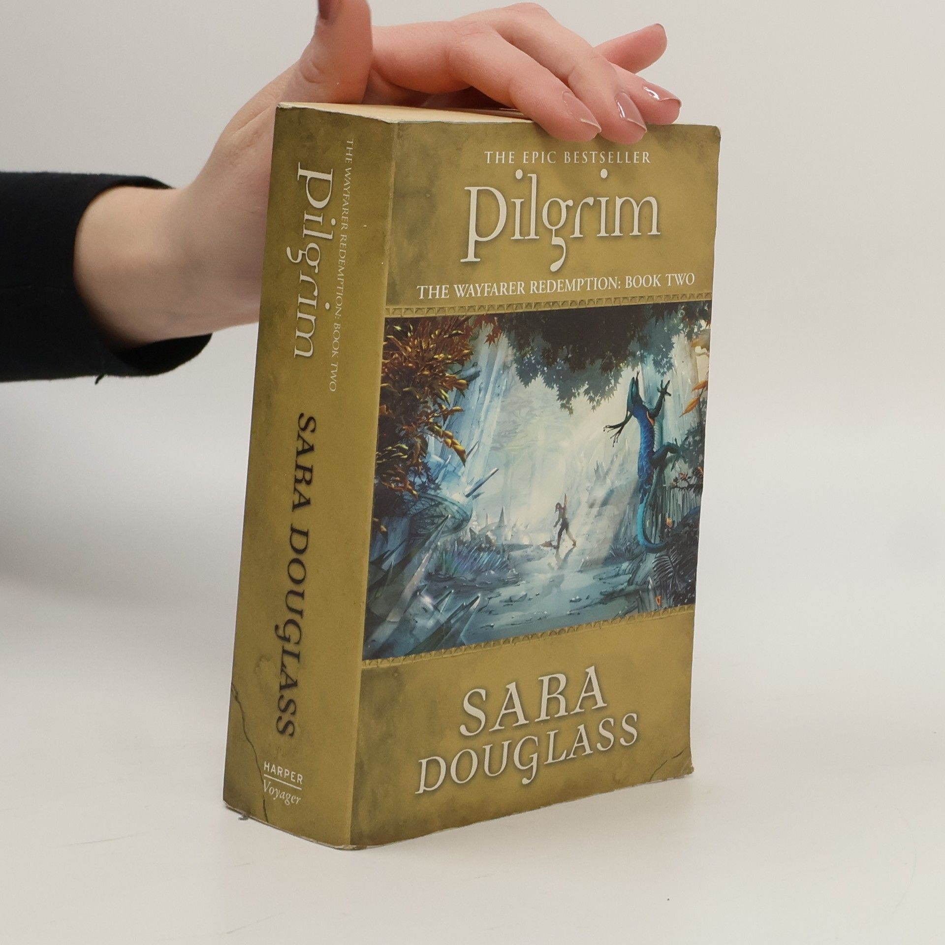 Sara Douglass Pilgrim