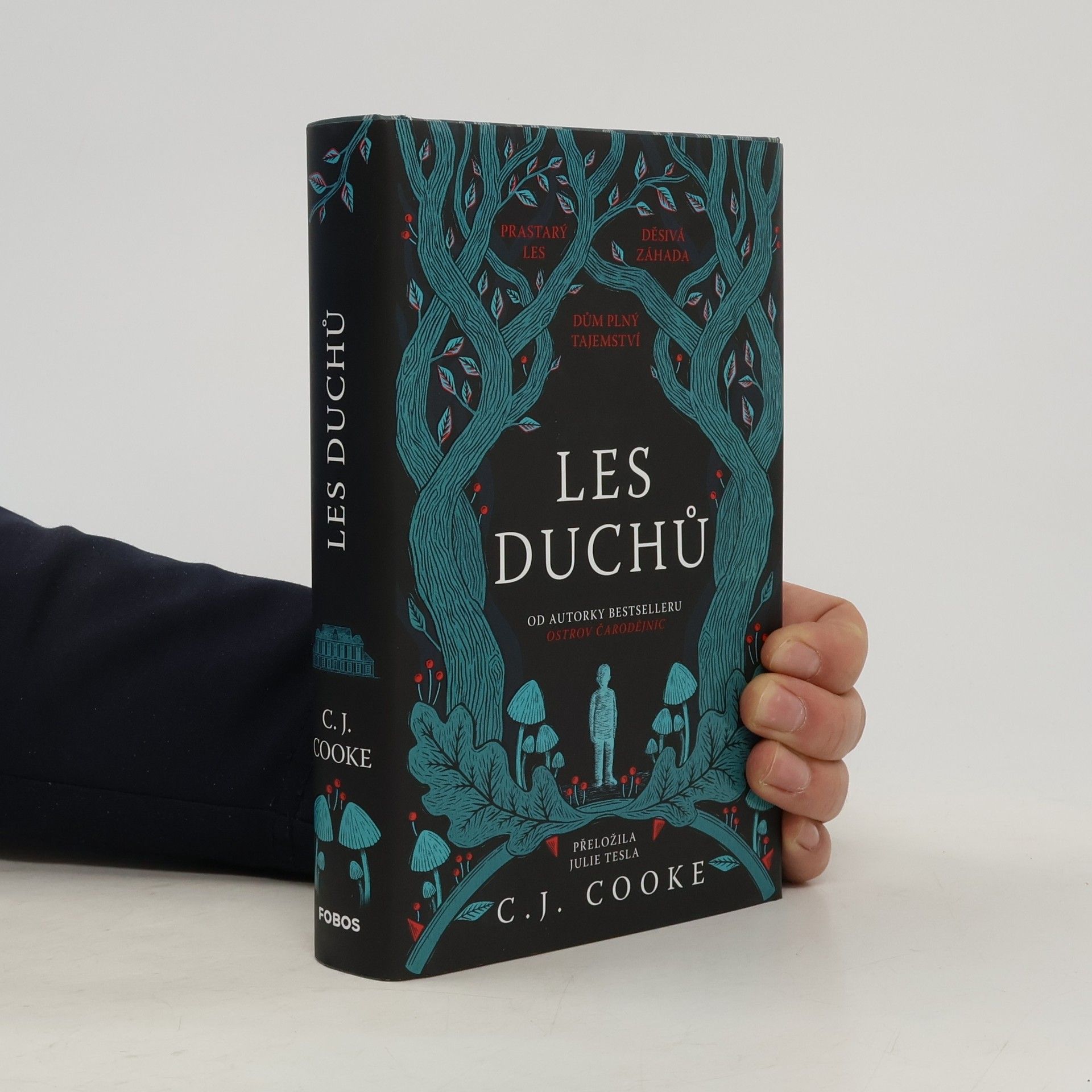 Carolyn Jess-Cooke Les duchů