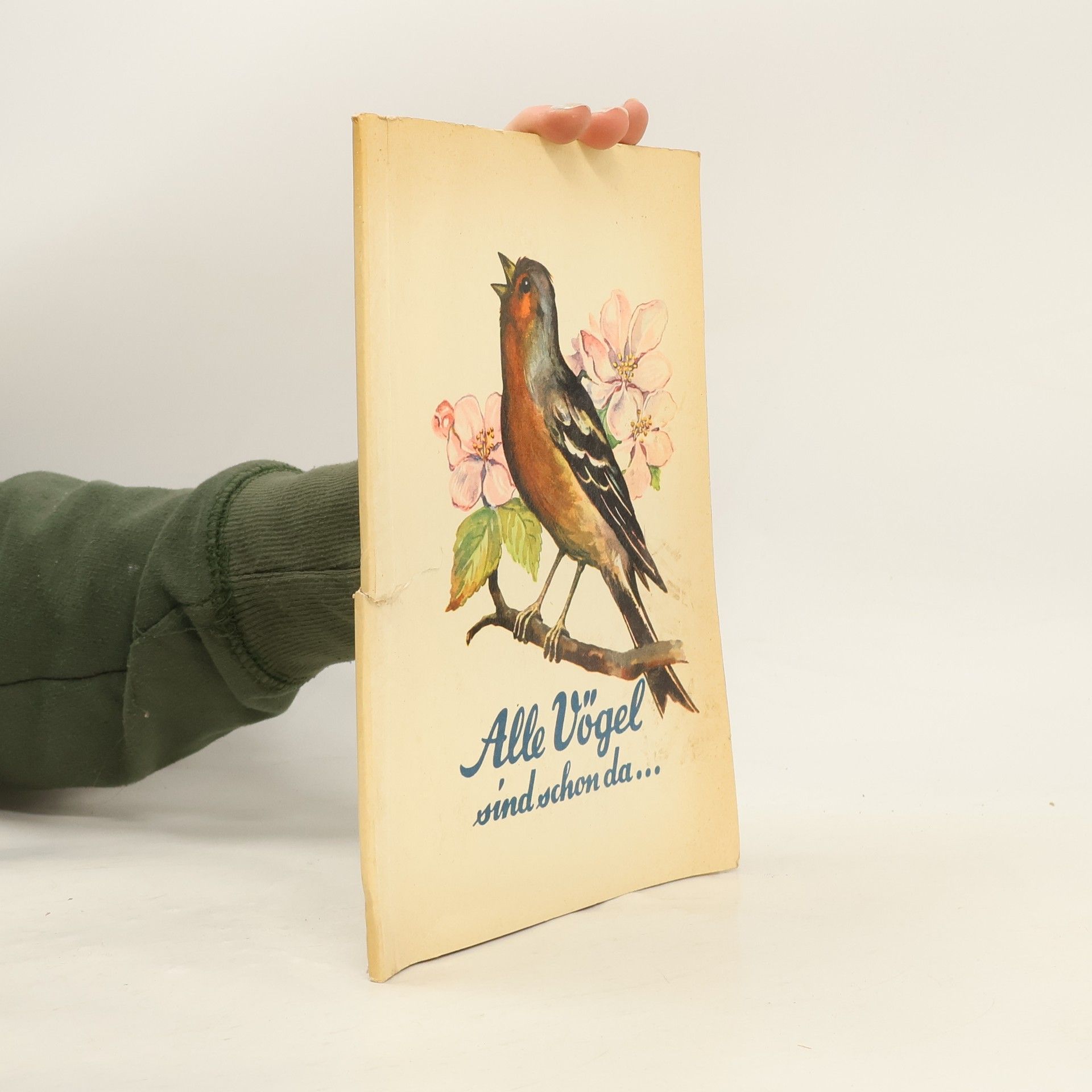 Autorenkollektiv Alle Vögel sind schon da... I.