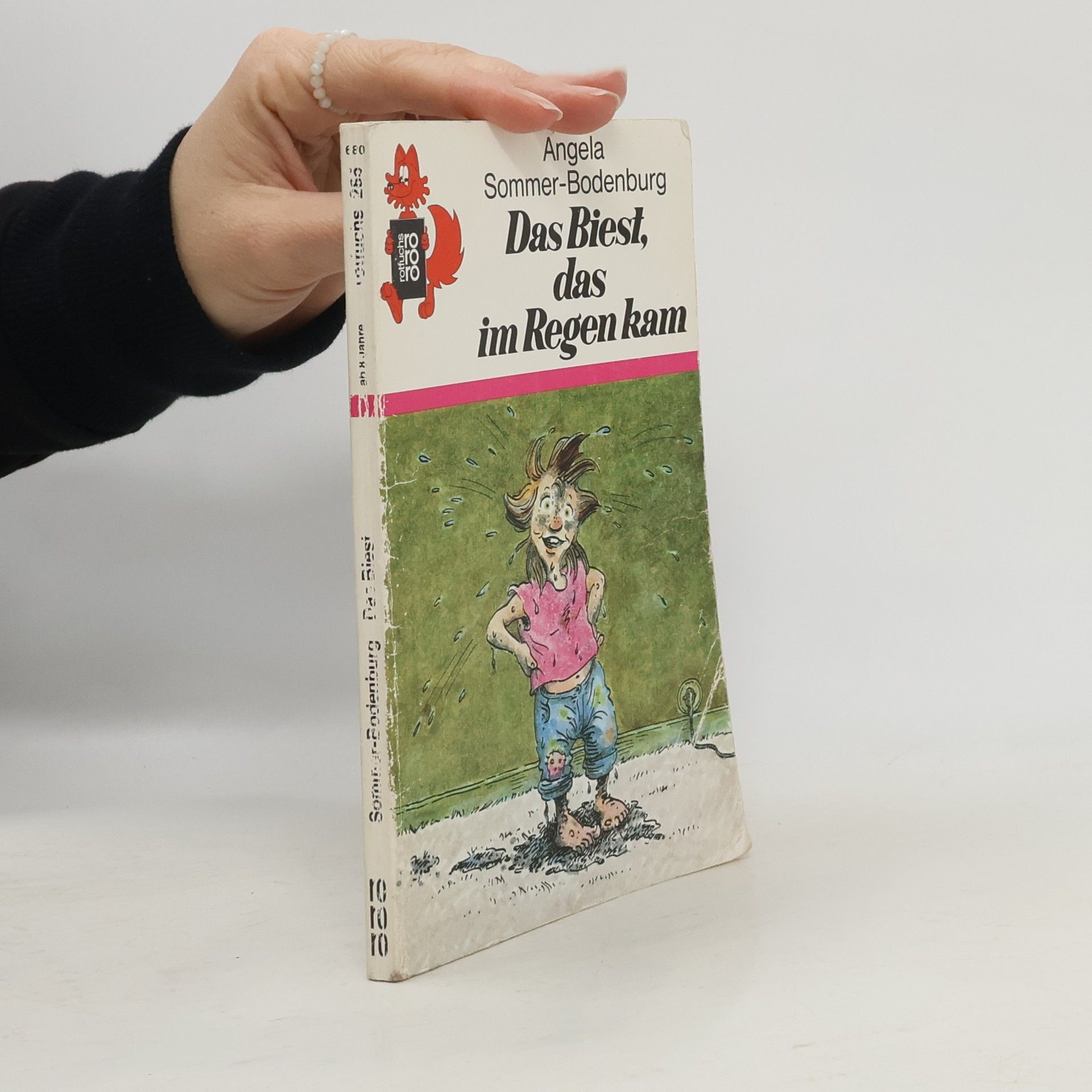 Angela Sommer Bodenburg Das Biest, das im Regen kam