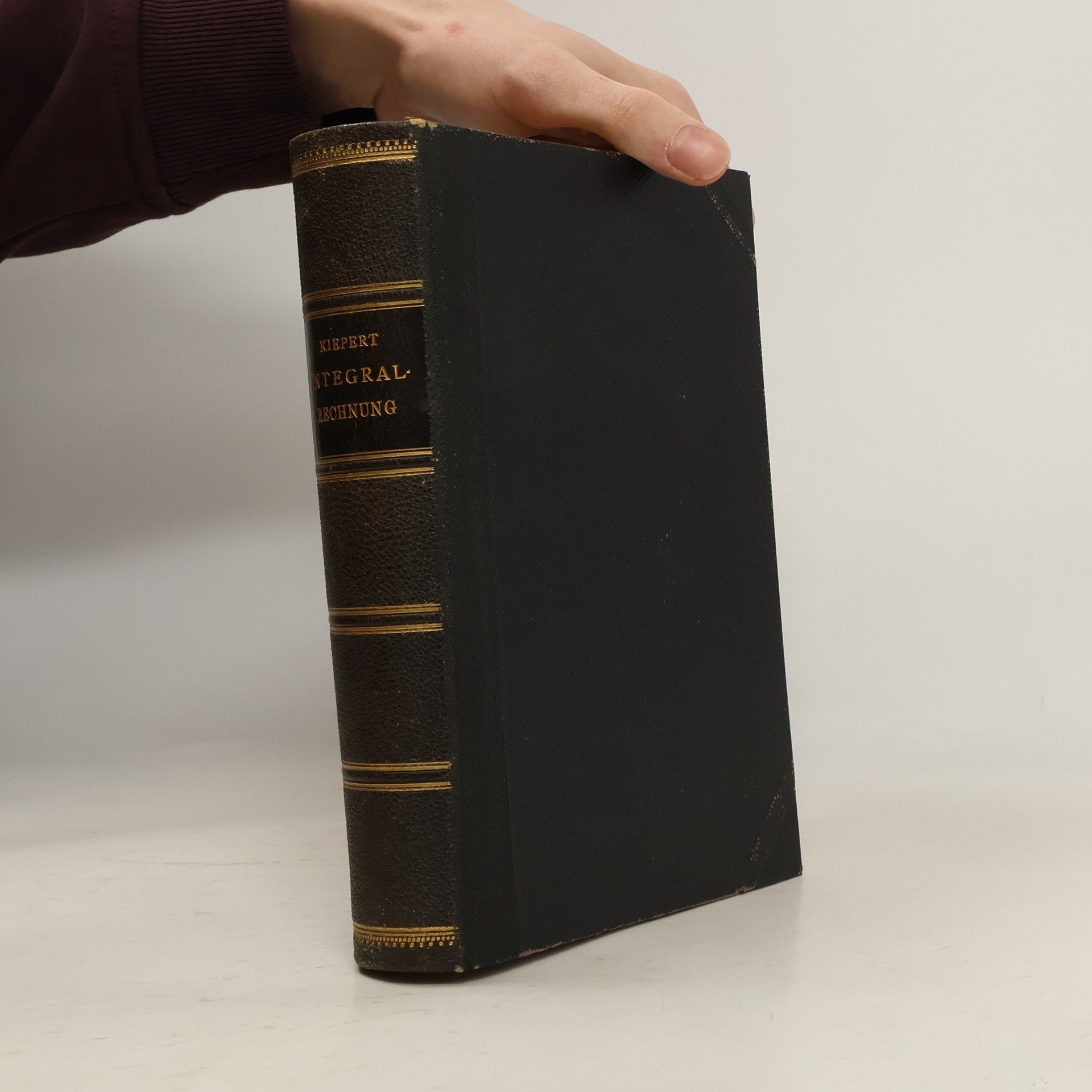 Ludwig Kiepert Differential- und Integral-Rechnung