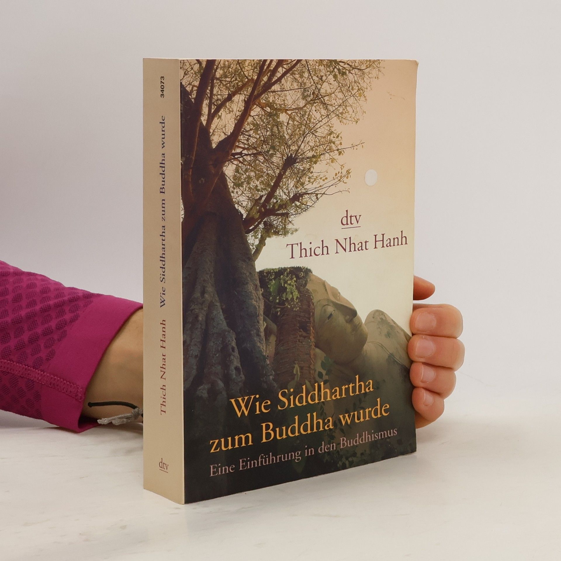 Hạnh Nhat Wie Siddhartha zum Buddha wurde