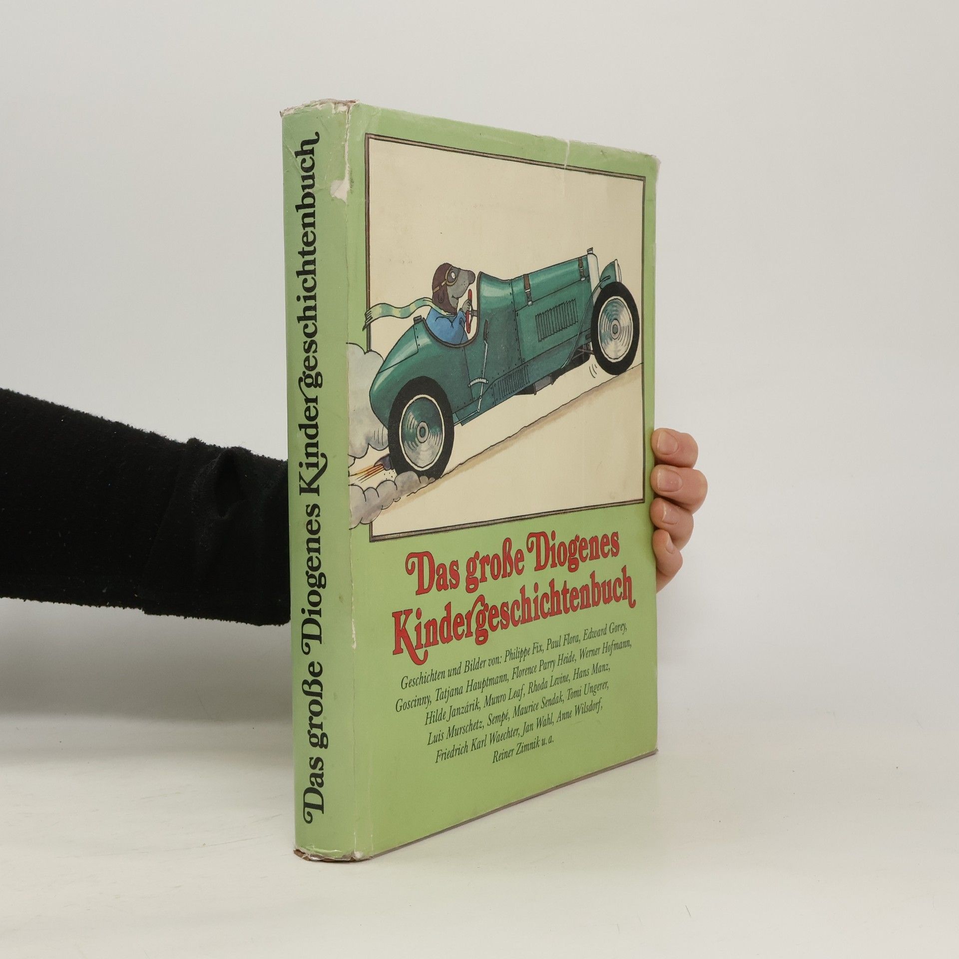 Collectif d'auteurs Das große Diogenes Kindergeschichtenbuch