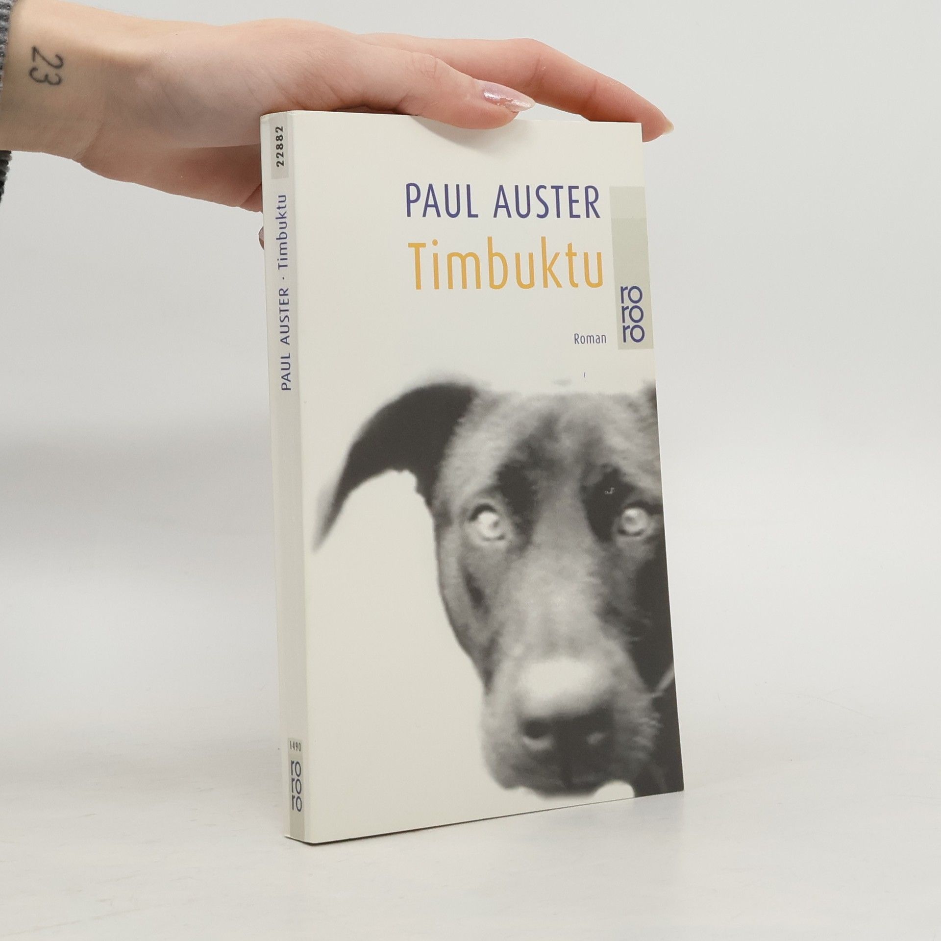 Paul Auster Timbuktu