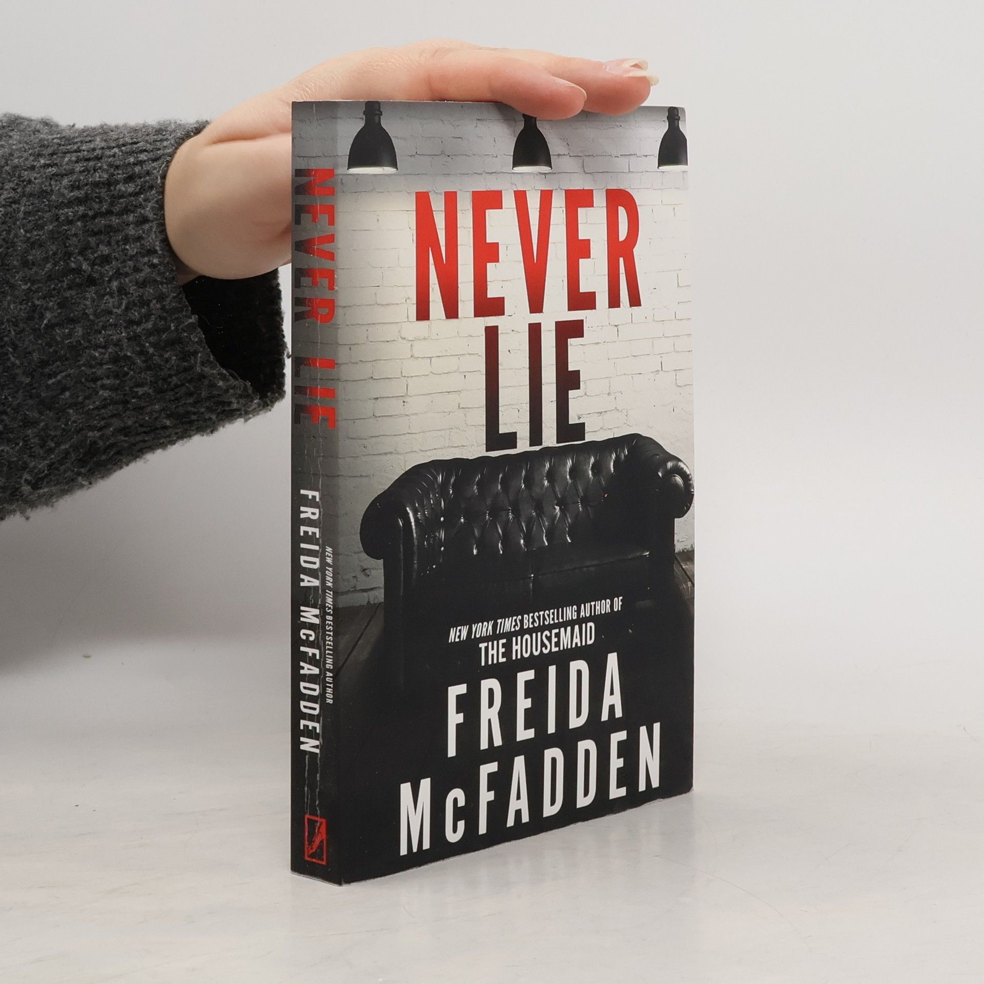 Freida McFadden Never Lie