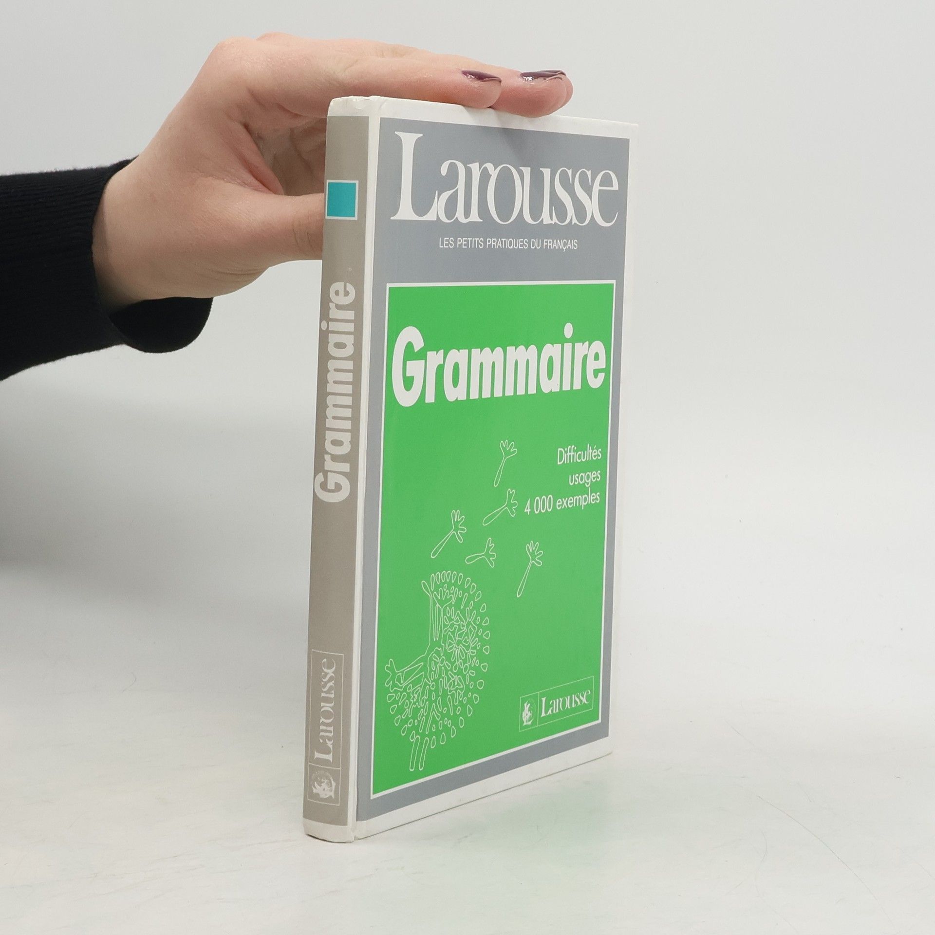 Collectif d'auteurs Grammaire. Difficultés usages, 4000 exemples