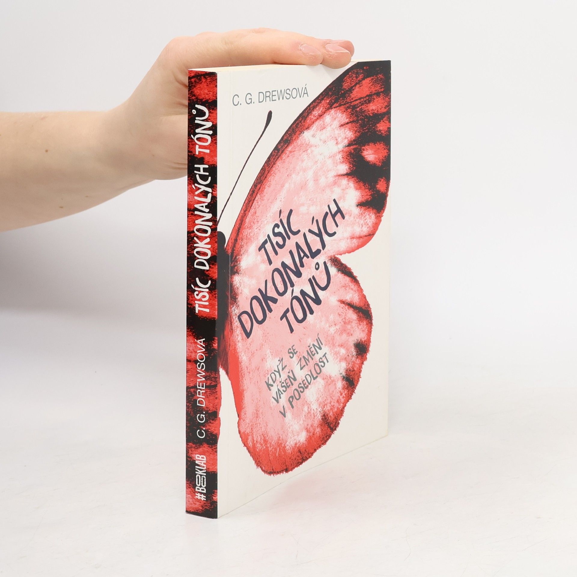 Tisíc dokonalých tónů - Když se vášeň změní v posedlost