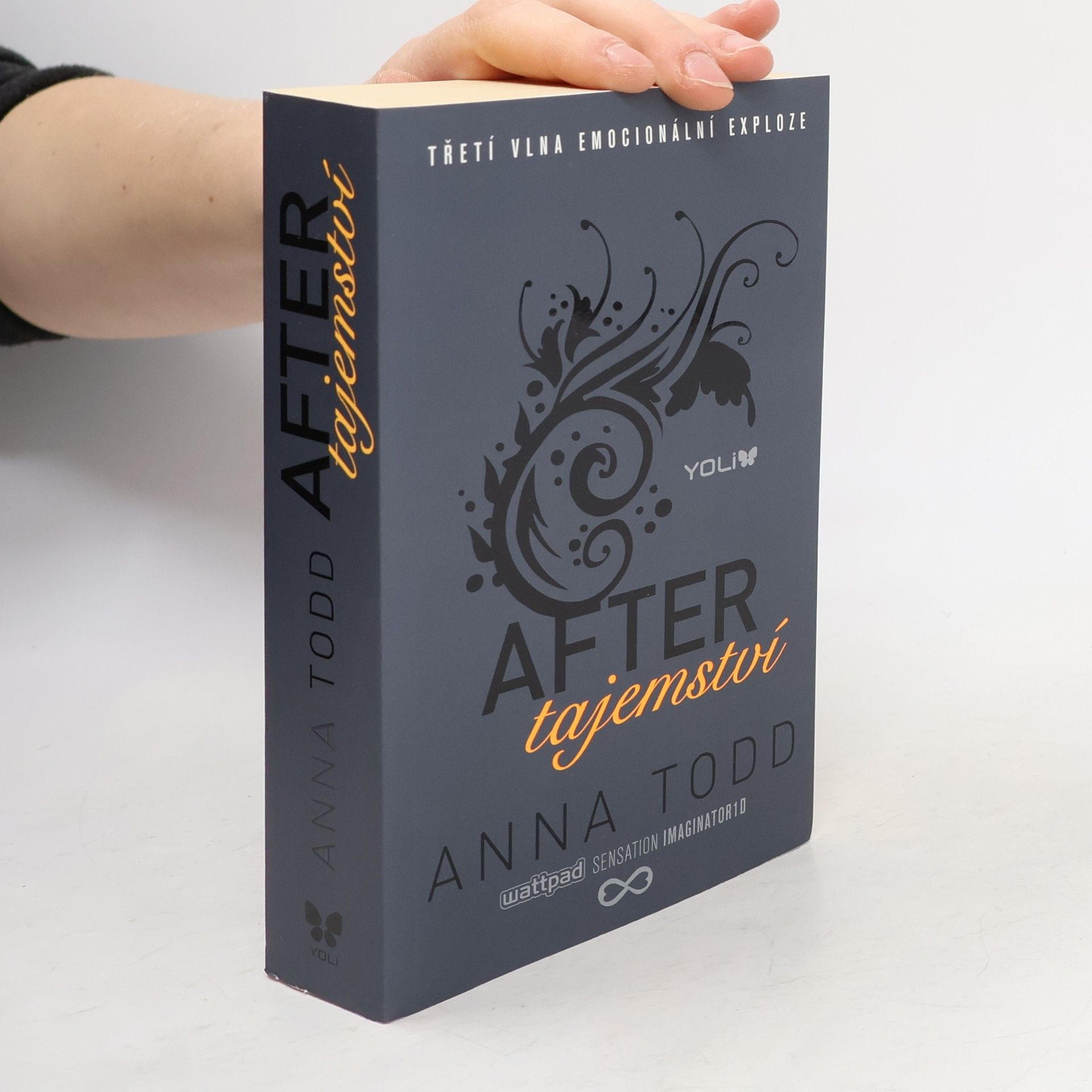 Anna Todd After. Tajemství