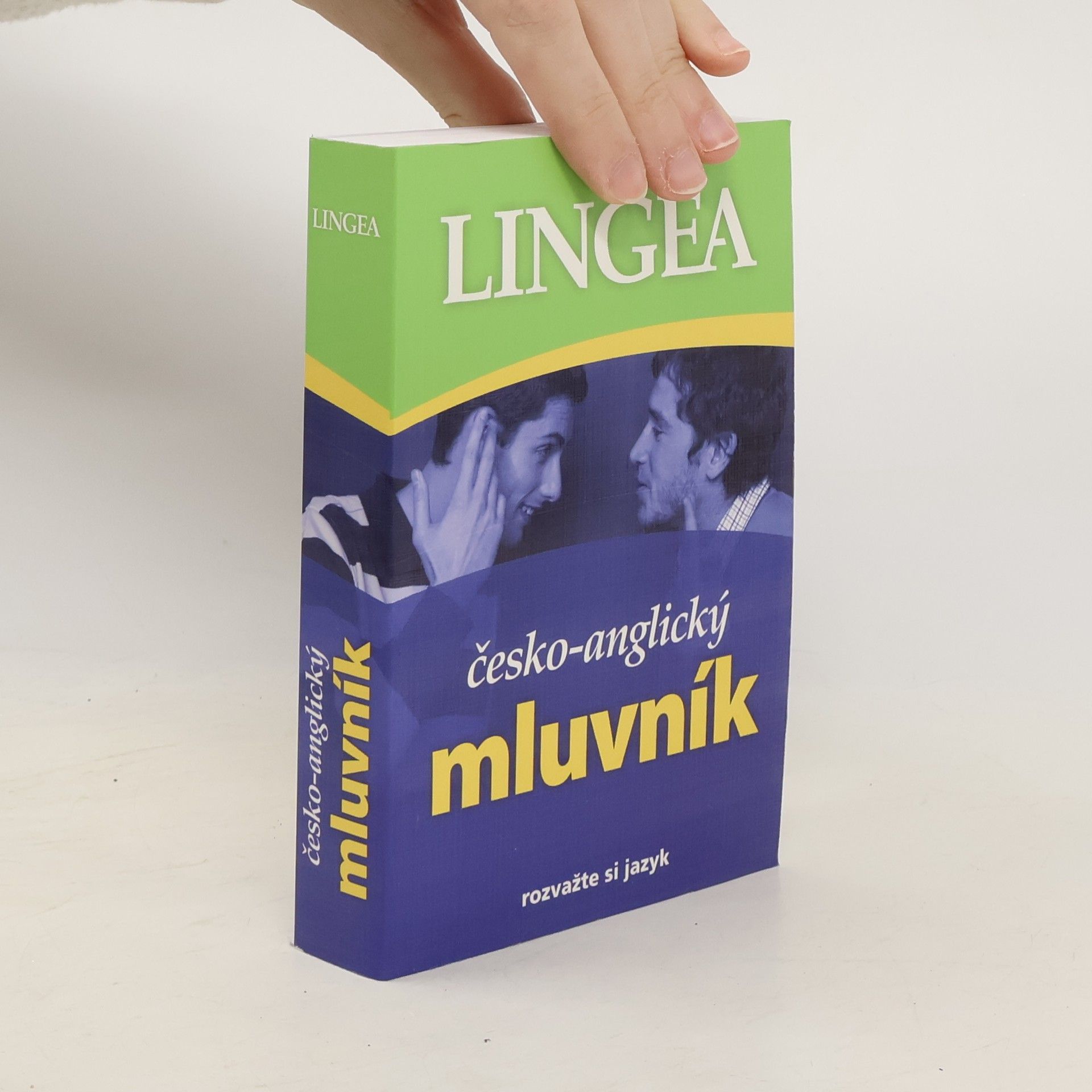 Autorenkollektiv Česko-anglický mluvník